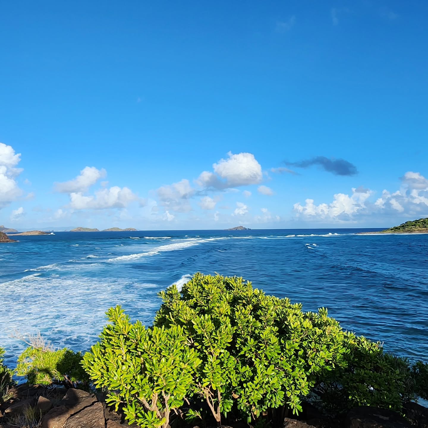 #stbarthélemy #randonneesttbarth #autourdestbarth
#stbartsmassage #stbarthvillas #cleanliving #naturelovers #islandnature #masseusestbarth #massageinparadise #massagestbarth #yachtsmassage #Cecile_St_Barth_Massage