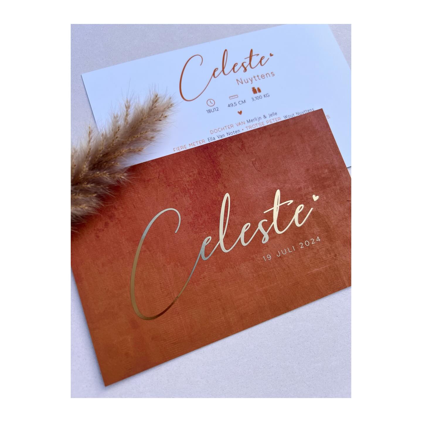 Welkom Celeste 🤎
#geboortekaartjes #geboortekaartjeopmaat #geboortekaartjeinspiratie