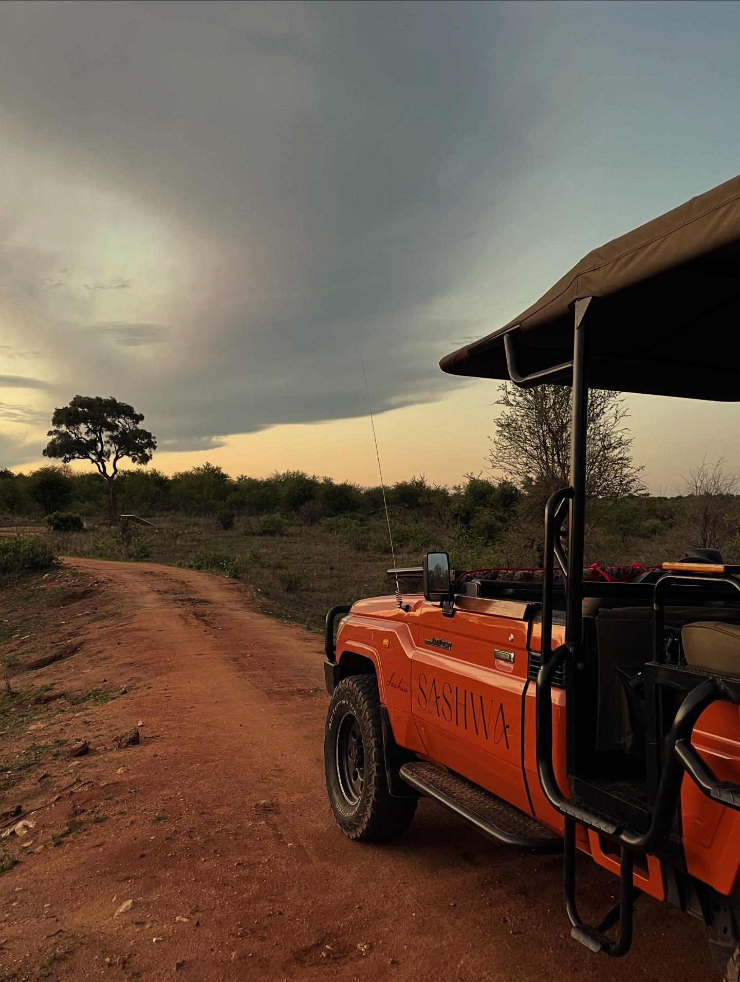 Good morning Sashwa!
So excited to see all you lovely ladies for REMEMBER WHO YOU ARE here tomorrow 💛🌿🌼