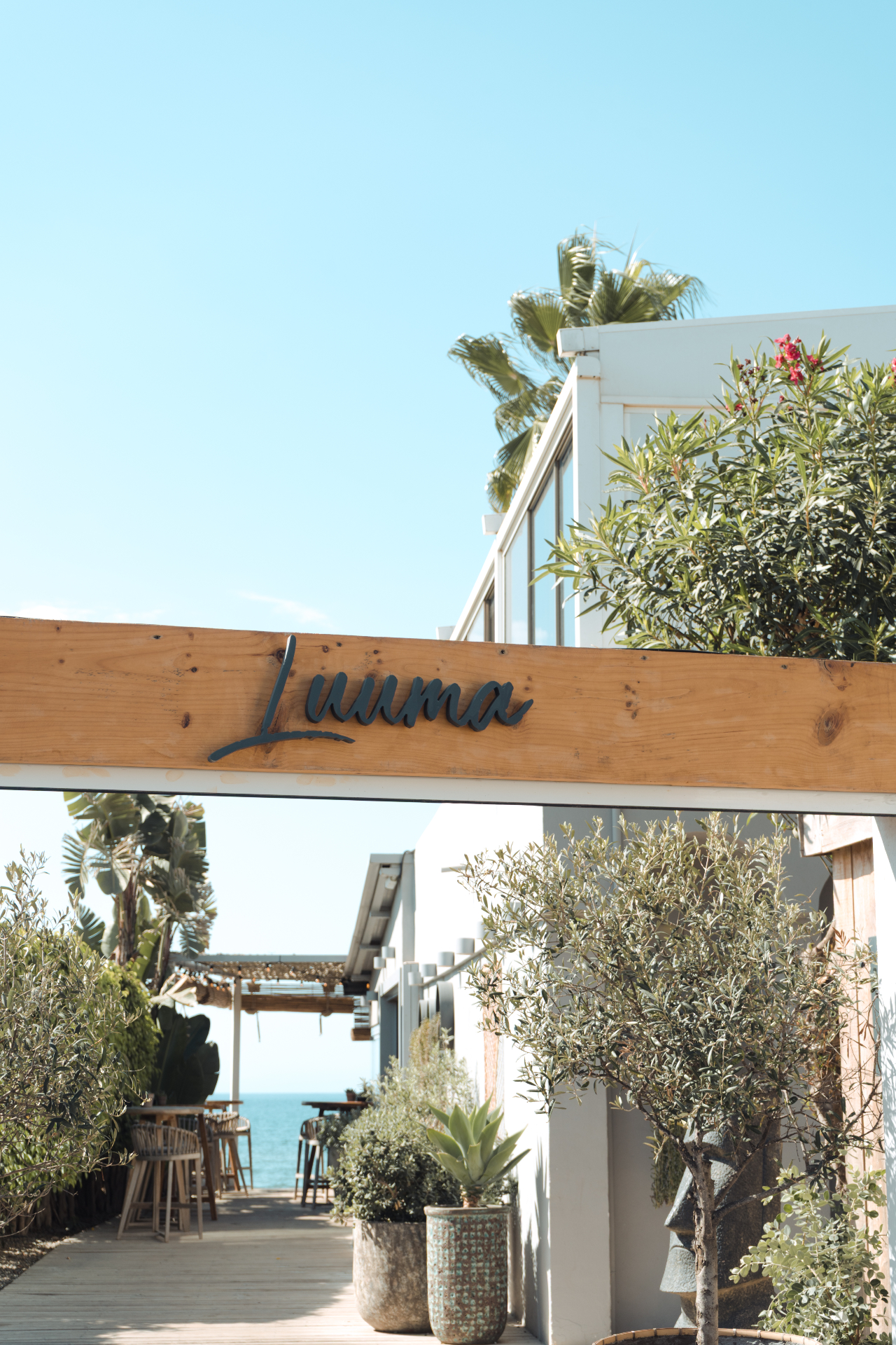 The answer is simple: great food, great vibes and the sound of the sea☀️
#luumabeachrestaurant #luumabeachmarbella #marbellaweekend #marbellatrip #marbellalifestyle #marbellaspain #marbellavacation #elrosariobeach