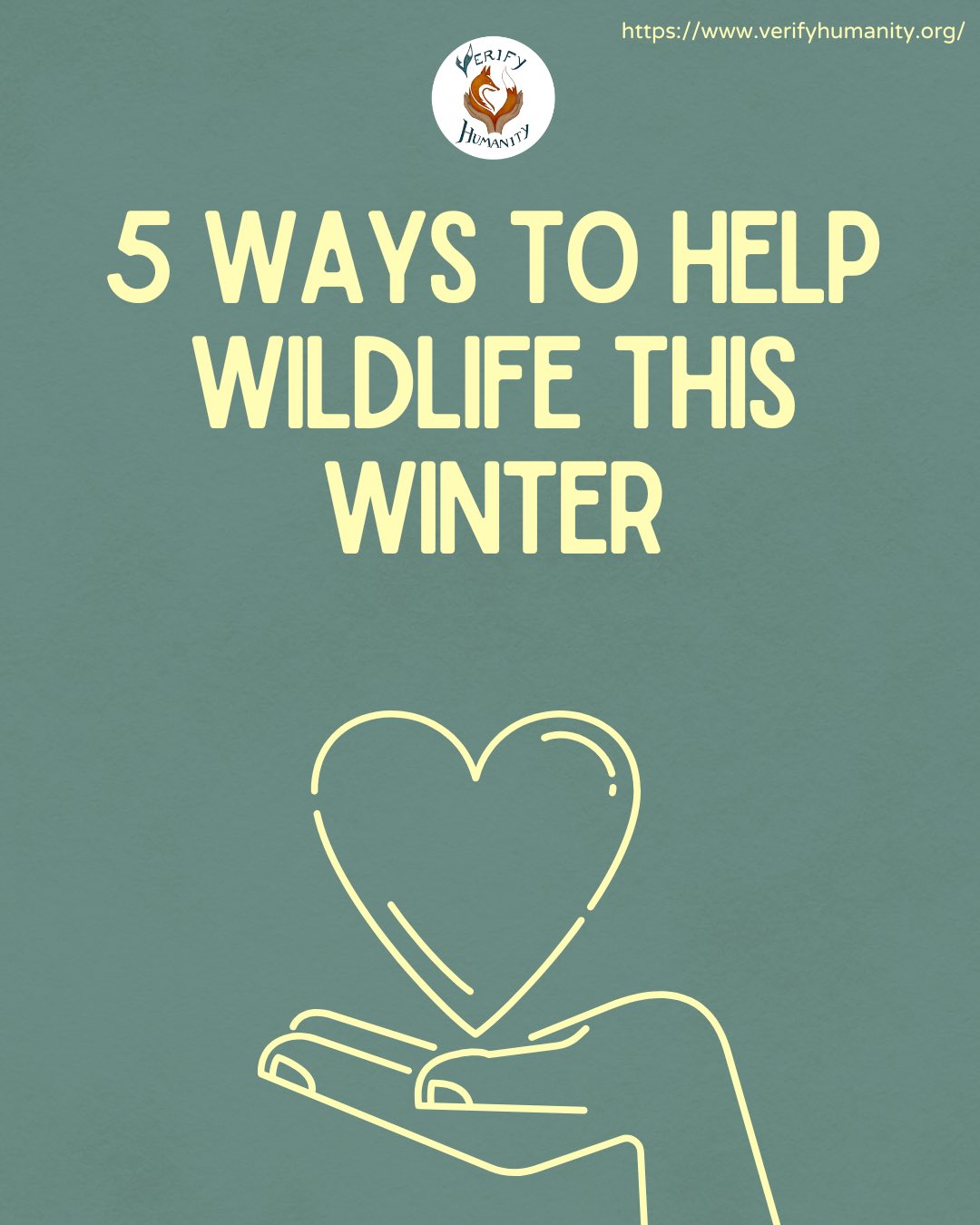 As we are entering the coldest time of year, it is important to look out for the wildlife around us and give them an extra little bit of help✨
#wildlife #ukwildlife #conservation #garden #speciesism