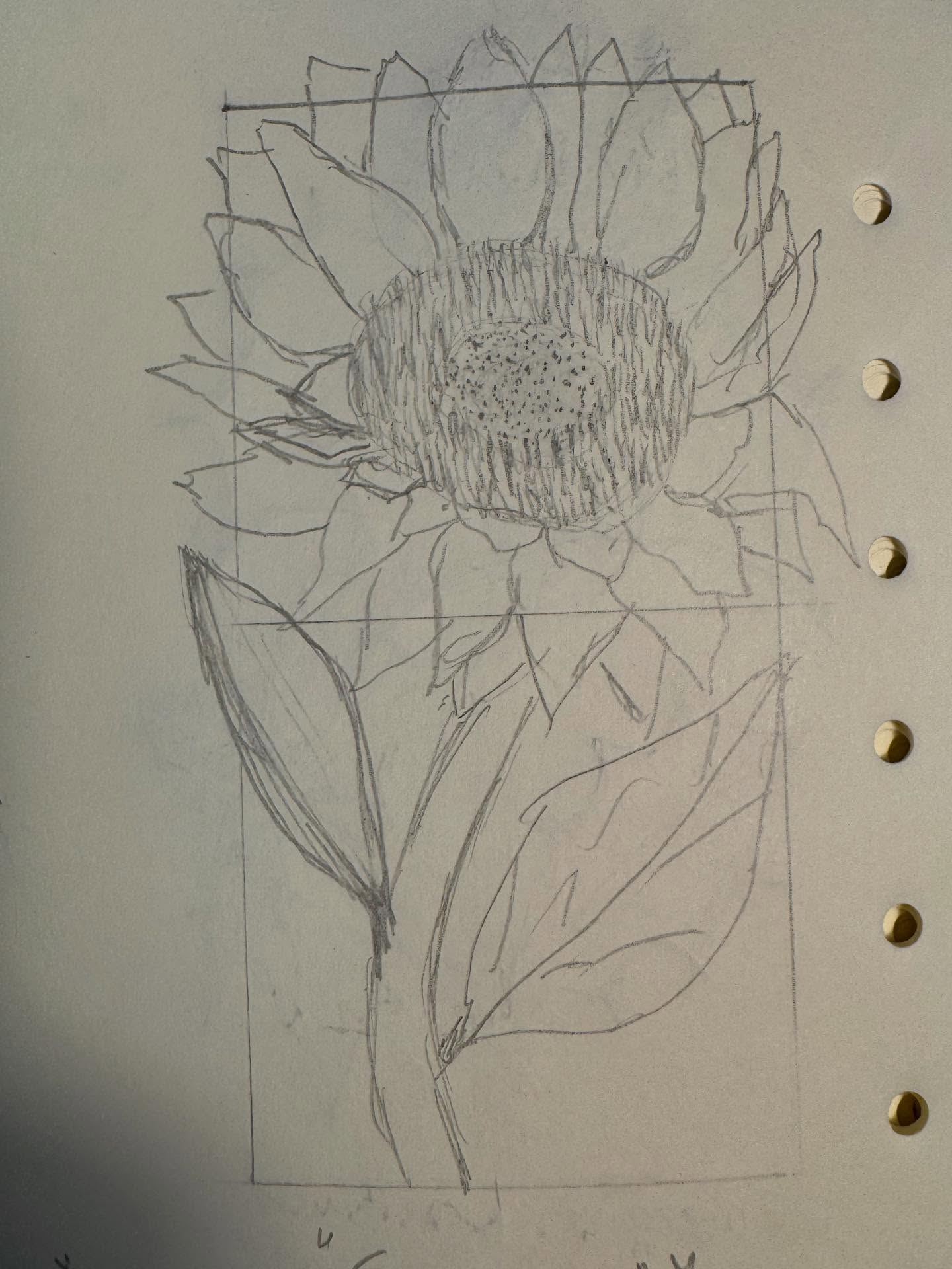 “GIRA-COMO-O-SOL”, 2025
23x13cm
.
.
Disponível
.
#mariacastelbrancoceramic #handmade #oneofakind #flowers #homedecor