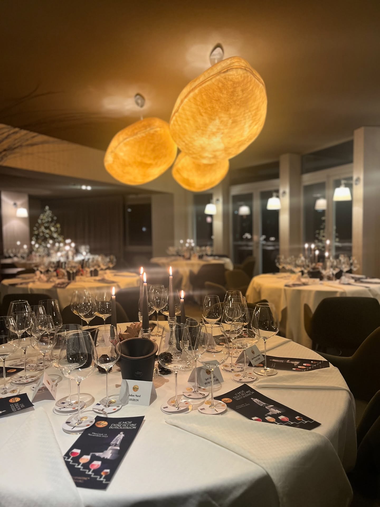 Masterclass, dégustation et dîner étoilé au Restaurant Lamartine au Bourget du lac pour mettre en avant les vins du Roussillon 🍷 merci @rougegranit pour cette superbe orga. Et merci à tous ces vignerons du Roussillon présents avec leur superbes cuvées #vin #roussillonwine
