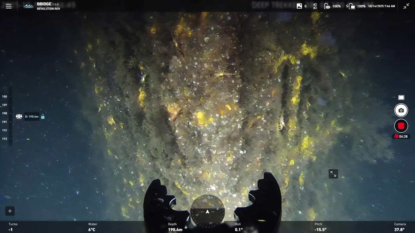 @deeptrekker Revolution ROV fra @rovpartner på oppdrag et sted dypt nede i Oslofjorden tidligere i høst! 😎🔥
#rov #wreck #nordicwreckalliance #ww2