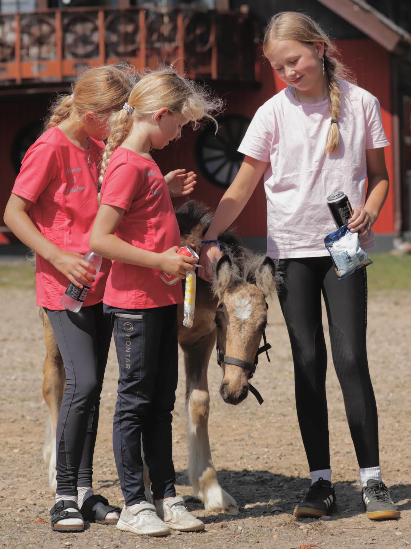 Lille Honey🍯Østerlunds mindste cutie pie💛 Hun er 7 måneder gammel nu😍