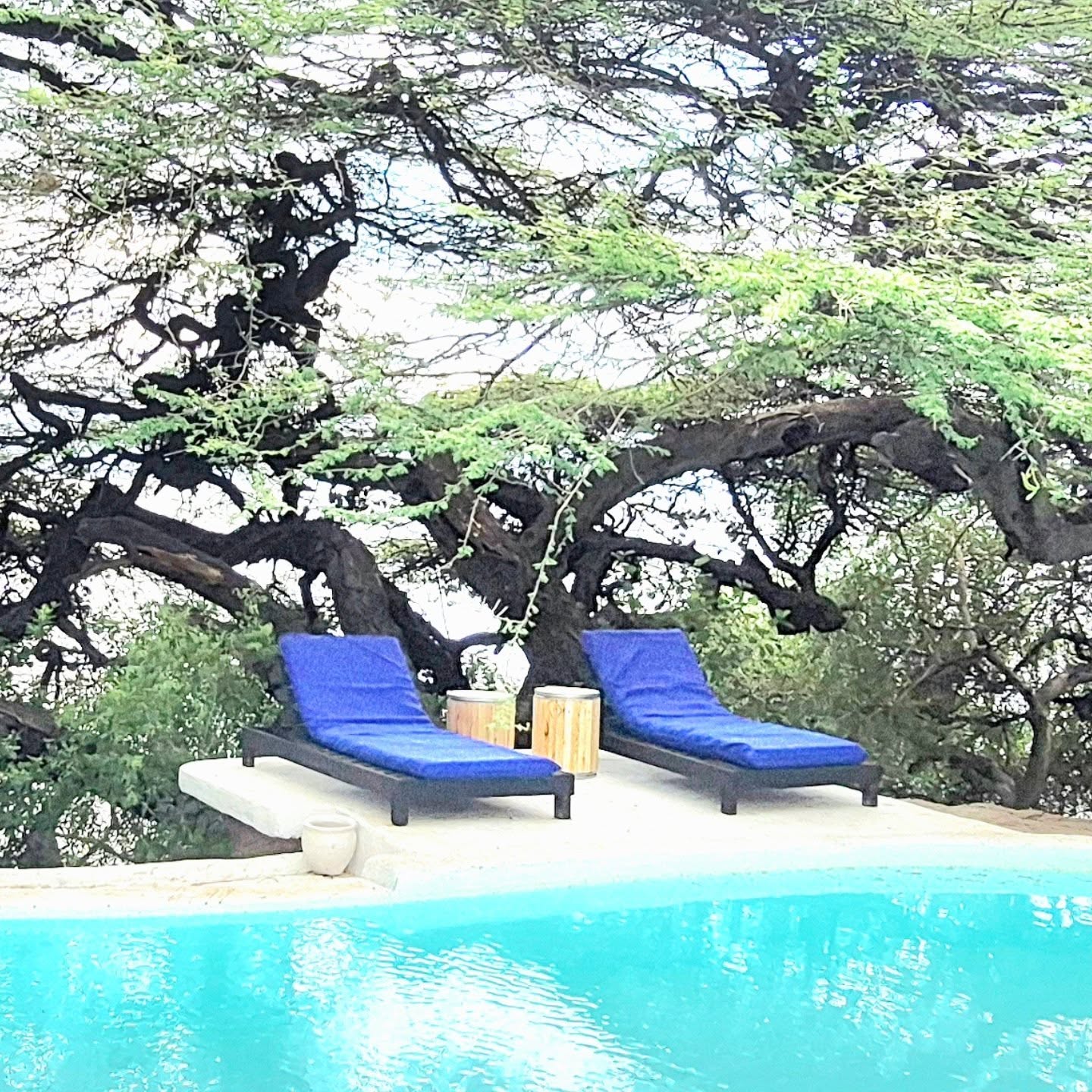 A nice shady spot for catching up on some relaxation and a good book. #teddybearbaringo #lakebaringo #greatriftvalley #islandlife