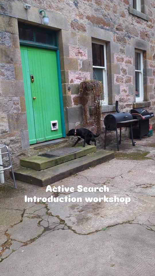 I had such a good time on Saturday morning teaching these 4 dogs and handlers their introduction to Active Search. They all picked it up so nicely and we had some really good discussions about body language and what each dog needs some help with and where they flourished.
Great fun with a great bunch of dogs and people is always the best way to spend a morning 🥰
#scentsports #scentwork #nosework #dogtraining #loveyourdog