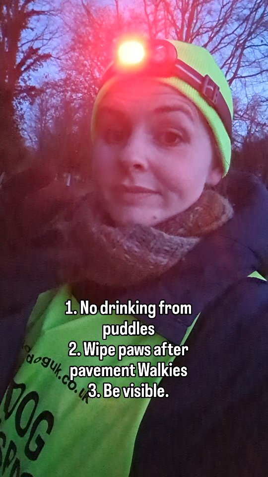 Tips for winter Walkies
1. No drinking from pavement puddles,
2. Wipe paws after pavement Walkies (when they grit the roads)
3. Be visible!!!
Stay safe and have fun!