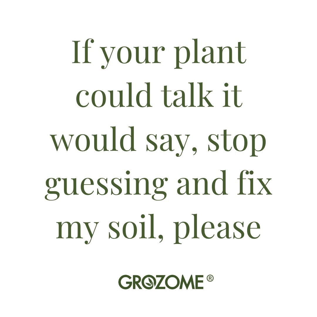 đ± Your plant is screaming, "fix my soil!", but in all seriousness, most plant problems start underground in the soil.
Roots, microbes, and healthy nutrients all start below ground and affect the plant's health.
During GROZOME's Black Friday Sale, it is easy to give your plants the good stuff!
Save 40% using code BLACKFRIDAY40.
Link in Bio!