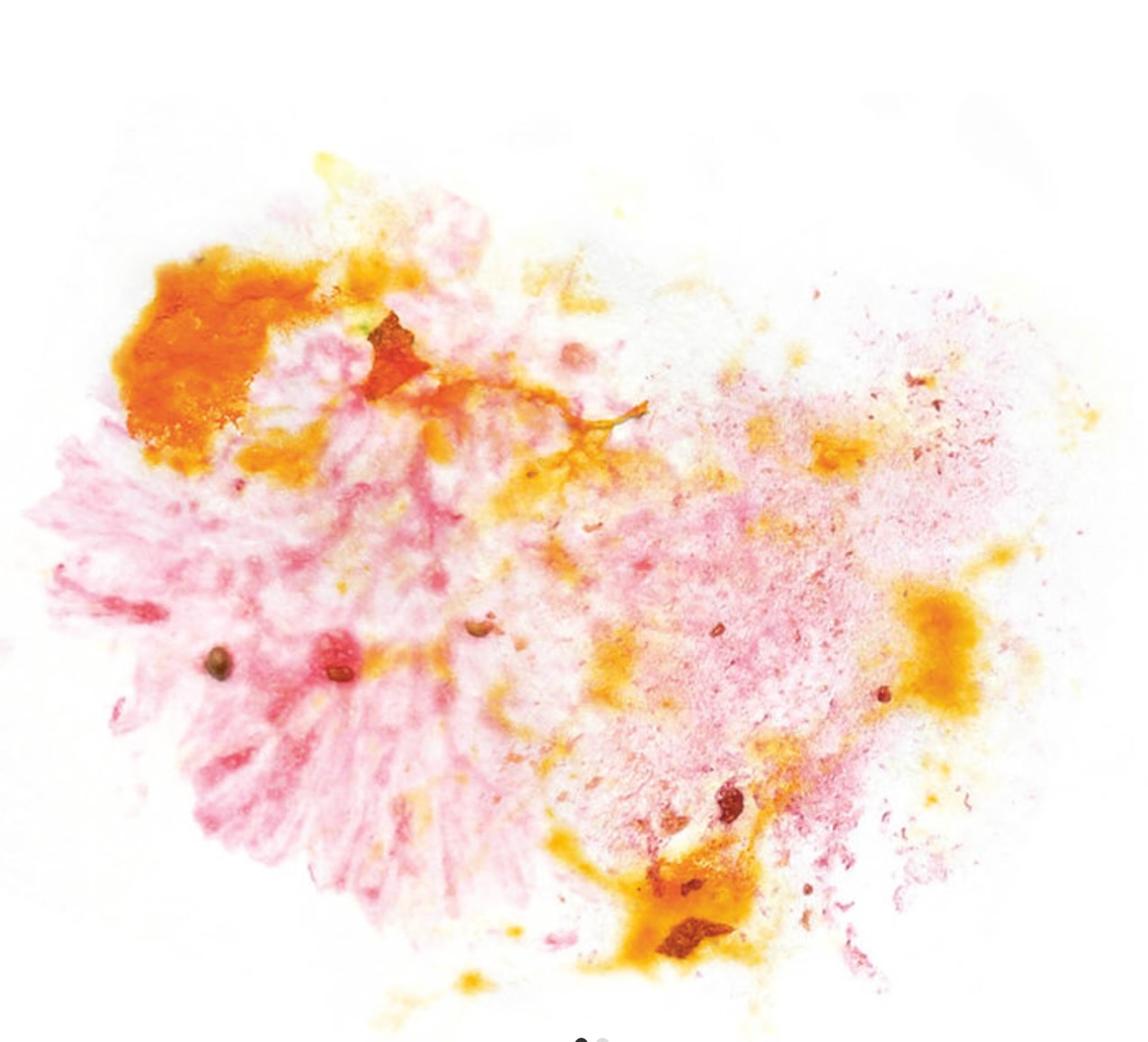 New coffee!
Panama Los Lajones Catuai
FILTER ROAST
Amazing 89 point Catuai from Panama, like a fruit juice! Our bestseller from the Swiss Coffee Festival now again available in our shop. High in sweetness and acidity, with notes of apricot, fig and dry plum. A real feel good coffee for everyday!
CUPPING NOTES Apricot, Fig, Dry Plum
PRODUCER Los Lajones, Graciano Cruz @hiucoffeefarms
COUNTRY Panama
SPECIES Arabica
VARIETY Catuai
PROCESS natural
FERMENTATION LEVEL 3/10
CUPPING SCORE 89 Points
CONTENTS 200 g