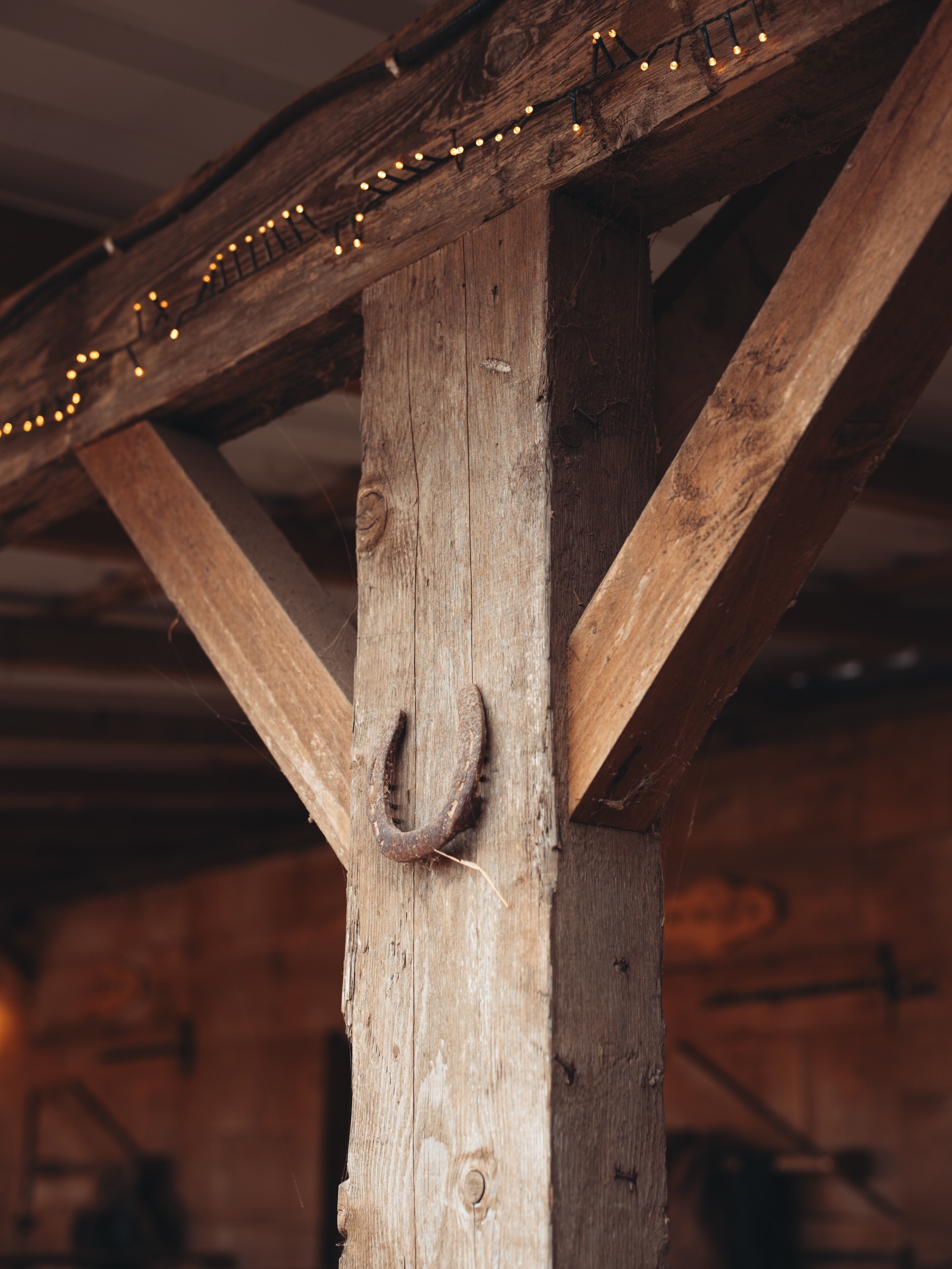 Décembre 🌲🌵
Petit medley de ces deux dernières semaines dans les yeux de la marque.
Un mois de Noël pas comme les autres puisque c’est le premier de Sonora et que dire ?
MERCI 🤍
Vous êtes déjà si nombreux et nombreuses à avoir adopté ce projet et mes petits bijoux en argent, je suis toute émue de me dire que Sonora sera aux pieds de nombreux sapins quelques mois seulement après son lancement, c’est fou 🫶
J’attends évidemment toutes vos photos avec impatience, et pour les retardataires, j’envoie tous vos colis en express jusqu’à la fin de semaine sans supplément tarifaire 🚀
#bijoux #ranch #ideecadeaunoel