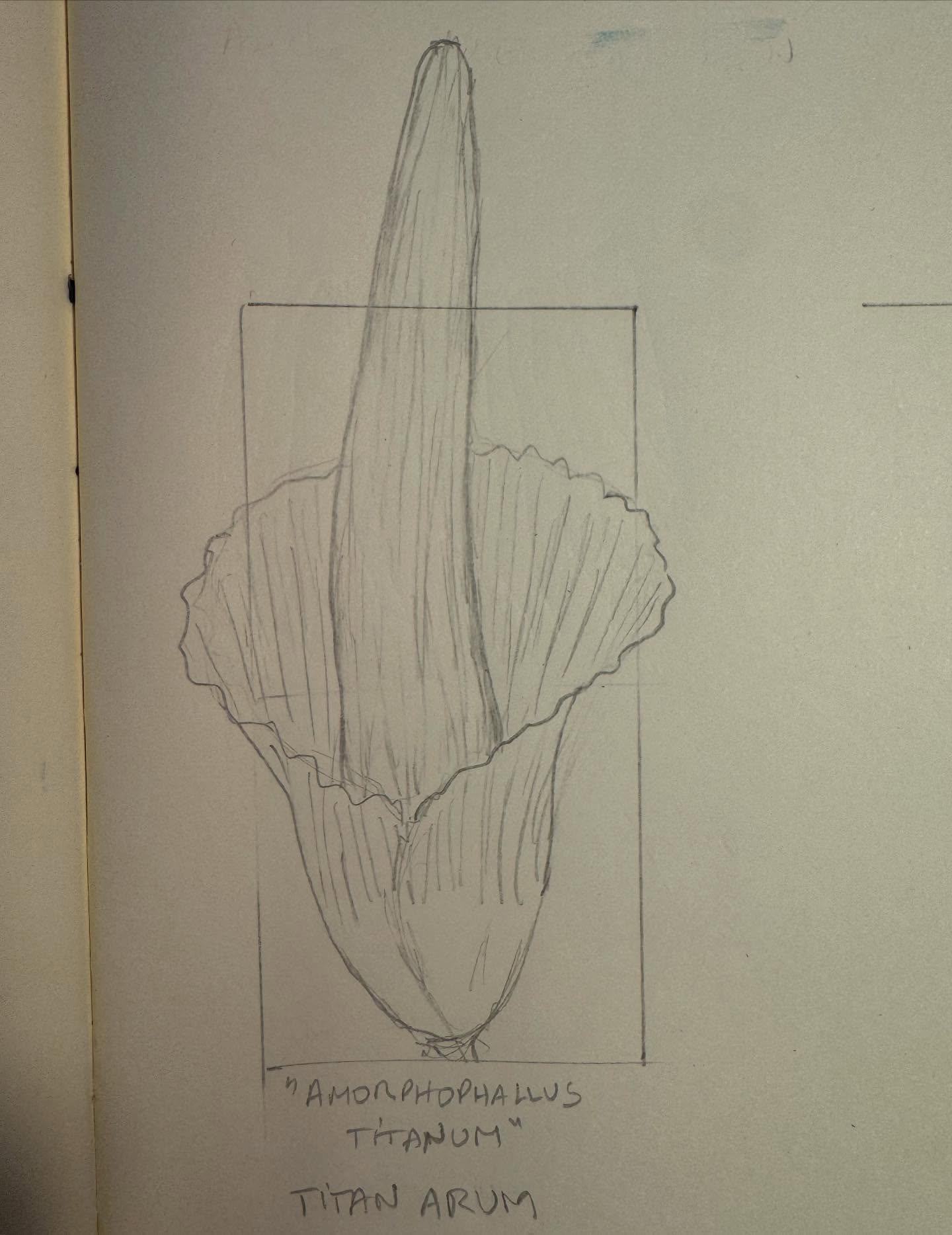 “JARRO-TITÔ, 2025
23x11cm
.
.
.
AVAILABLE
.
.
#mariacastelbrancoceramic #handmade #oneofakind #flowers #homedecor