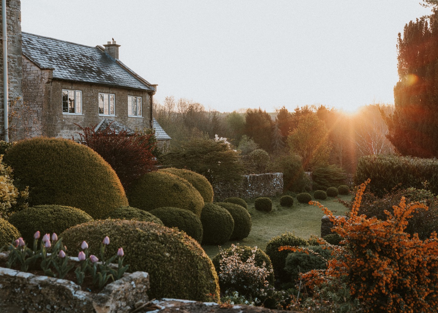 Nothing quite like the autumnal sunrise at Coombe-End Manor. The low, golden light casts a warm glow over the gardens,