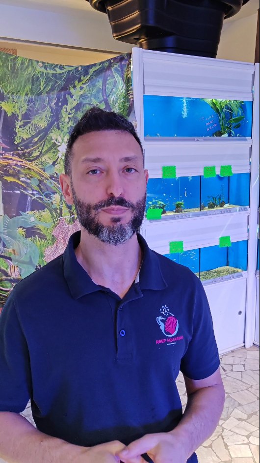 📦 Come spediamo?
Video completo:
https://youtube.com/@reefaquarium-acquariologia?si=R1Mf68SvE6_iPEb7
È disponibile il nuovo video che mostra nel dettaglio come prepariamo e spediamo i vostri pesci e prodotti!
Massima cura, imballaggi sicuri e spedizioni rapide per garantire sempre il benessere degli animali e la qualità degli articoli. 🐠✨
Guarda il video e scopri tutto il dietro le quinte delle nostre spedizioni! 🚚💨
➡️ Link al video sul nostro canale Yuotube
#Acquari #NegozioAcquari #Acquariologia #PesciTropicali #FishLovers Acquariofilia SpedizioniSicure UnboxingAcquario AcquarioMania TropicalFish AquariumStore FishKeeping AcquarioCommunity ImballaggioSicuro PetShopOnline AcquariOnline