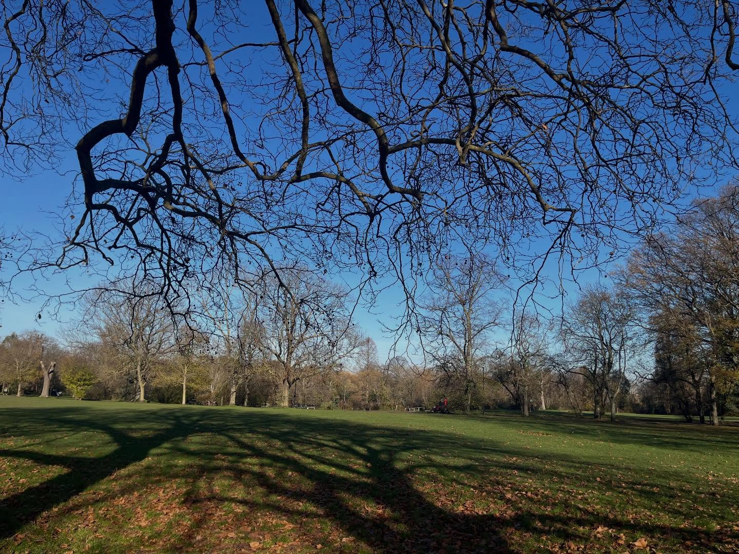 #londres est une ville parsemée d’espaces verts, parfait pour une bouffée d’oxygène lors d’un #weekendalondres, un picnic ou profiter des nombreuses installations pour les enfants ! #londresavecdesenfants (en photo, Wandsworth Commons dans le sud-ouest, quartier abordable pour les locations / hôtels et facile d’accès avec la Northern Line et le train direct pour Victoria !)