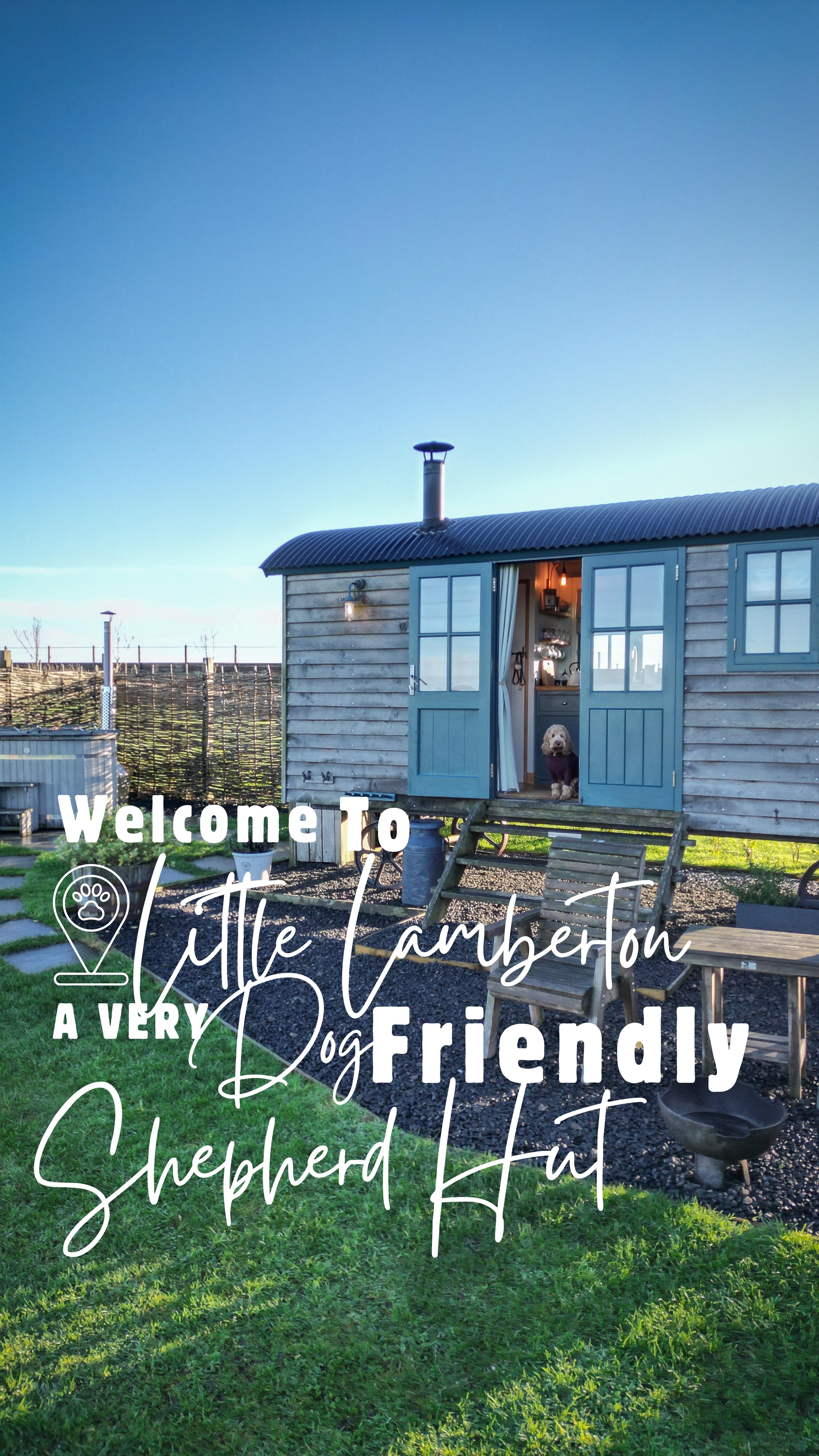Welcome to Little Lamberton — the shepherd’s hut that genuinely GETS dogs. Crumble’s inspection results? 10/10 zoomie potential, cosy vibes approved and maximum snuggle points inside. 🐾✨
If you’re dreaming of a peaceful escape where the views are endless and the pups can fully relax… this might just be your next staycation spot.
Bookable via @pawsandstaytravel 🐾💛
#dogfriendlystay #pawsandstaytravel #dogfriendlyscotland #furcation #shepherdshutstay whenchestermetcrumble