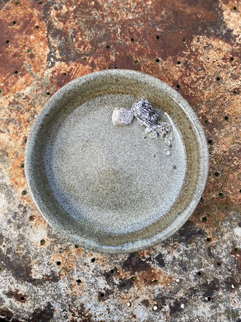 Après mes escapades-collectes de matières minérales en Drôme ou en Ardèche, je rentre à mon atelier.. Et là dans l'antre de mon atelier je broie, je lave, je tamise puis je mélange, des argiles, des sables, des cendres, des roches, dans la terre, dans l'émail, puis je cuis à 1280 degrés et tout se transforme.
Et parfois, miracle de la nature, le résultat ressemble exactement aux paysages que j'ai croisés et dont je me suis imprégnée dans ces escapades.
Assiette tournée en grès roux, émail créé à partir de sable granitique (Ardèche) et petits cailloux de granit
.
.
.
#grès
#ceramiquegastronomique
#toutunmondedanslassiette
#assiettepaysage
#ceramiquecontemporaine
#artsdelatable
#artdelatable
#platesforchefs
#ceramiquedrome
#ceramiqueardeche
#interiordesign
#tablewear
#stonewarepottery
#madeinfrance
#émauxdegrès
#glazes
#ashglaze
#naturalmaterials
#naturalglazes
#émauxdecollecte