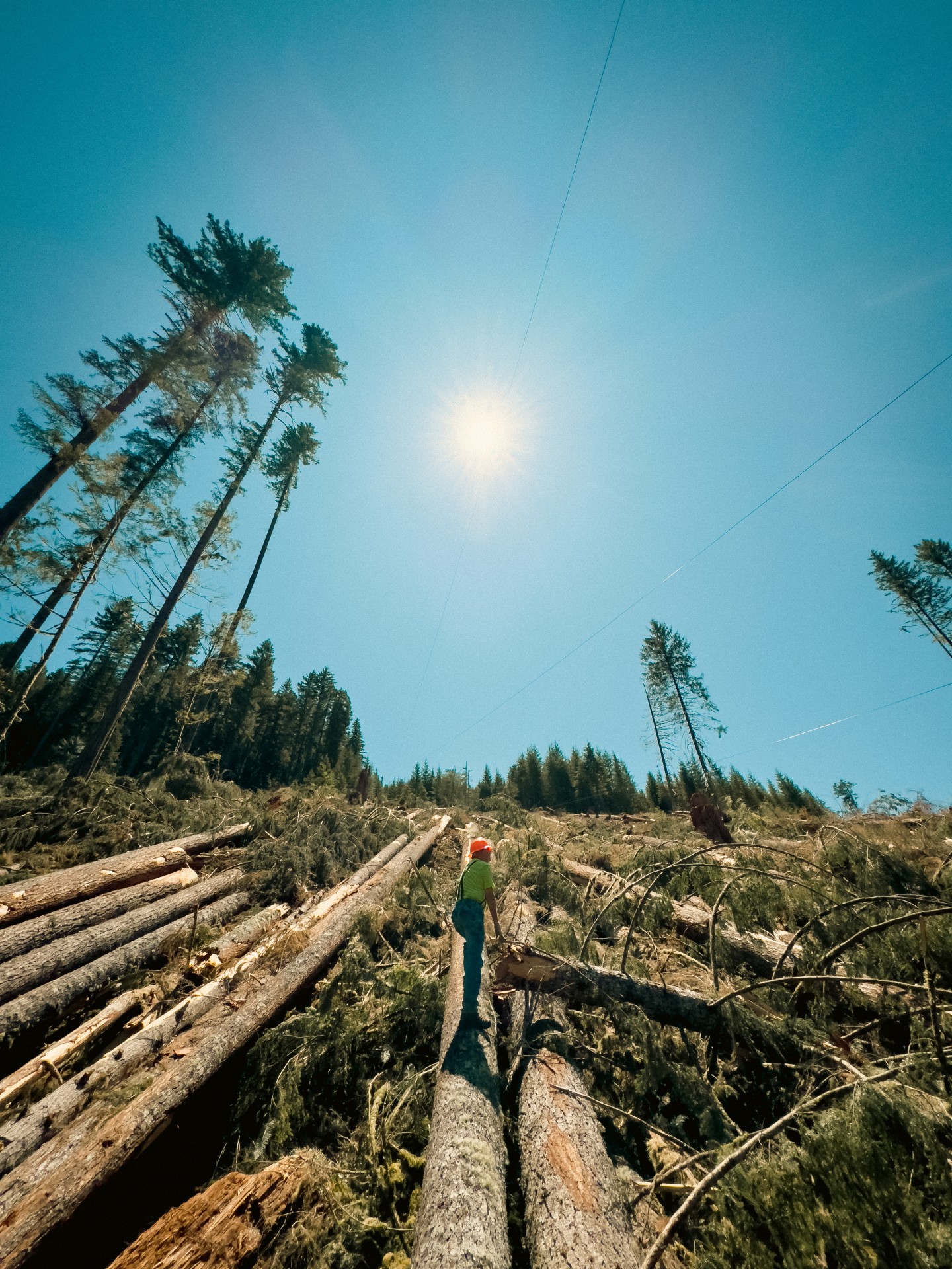 Some days out here are just different.
This was one of those bluebird daysāsun shining and a gorgeous PNW view. Logging in the Pacific Northwest isnāt always easy, but when the weather hits just right, itās a reminder why we love what we do.
Grateful for days like this, the land we work on, and the team we get to work alongside. š²āļø
šø From the archives ā but we never get tired of scenes like this.
#ChiltonLogging #LoggingLife #PNWLogging #WorkingInTheWoods #BluebirdDay