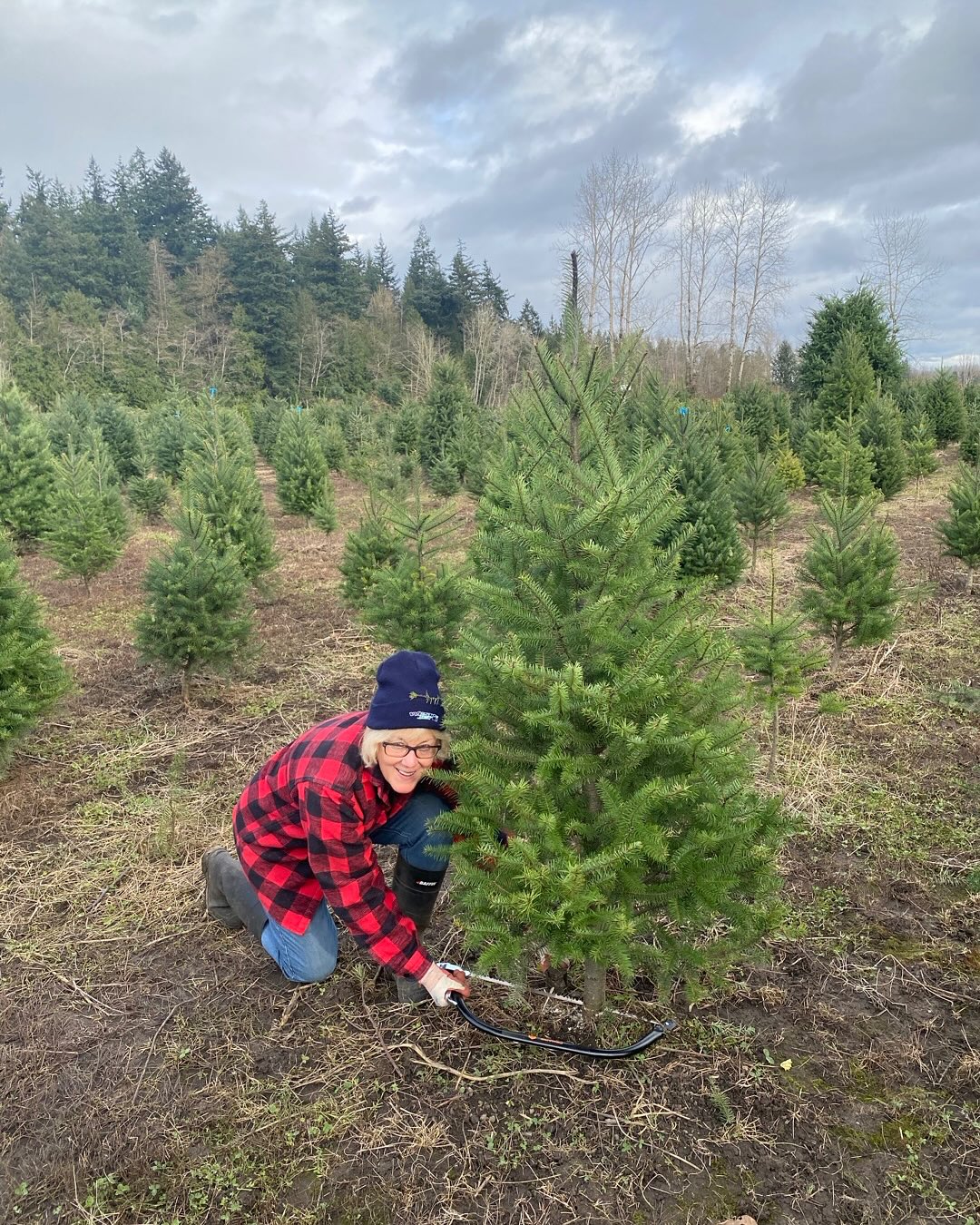 It’s that easy to create a Christmas memory: choose, cut, and carry! See you soon at Fernridge Christmas Tree Forest, 2828 208 Street, Langley.