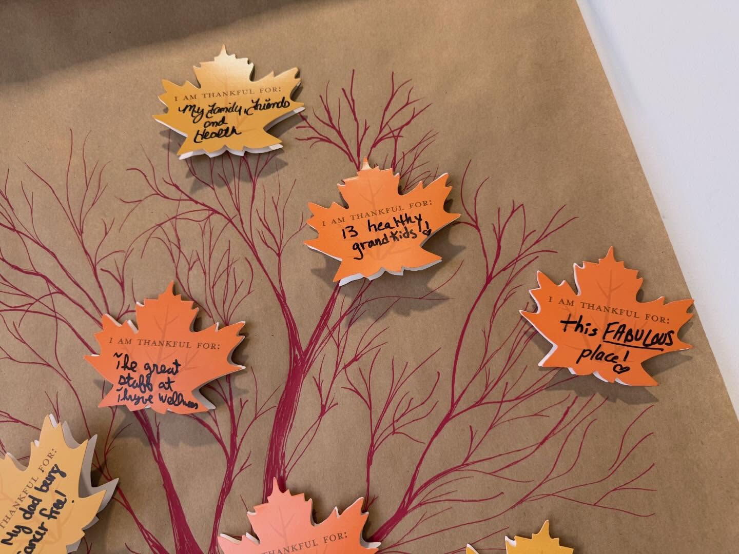 Have you shown your gratitude in our lobby yet?
Today and tomorrow come on in and enter our Thankful Tree Giveaway by letting us know what you’re most grateful for this season and always.
•
We will be closing at 4pm tomorrow and we will be closed on Thanksgiving Day!
•
See you on Friday for our Giveaway Winners Announcement as well as our 7 Day Black Friday Sales Rollout!
•