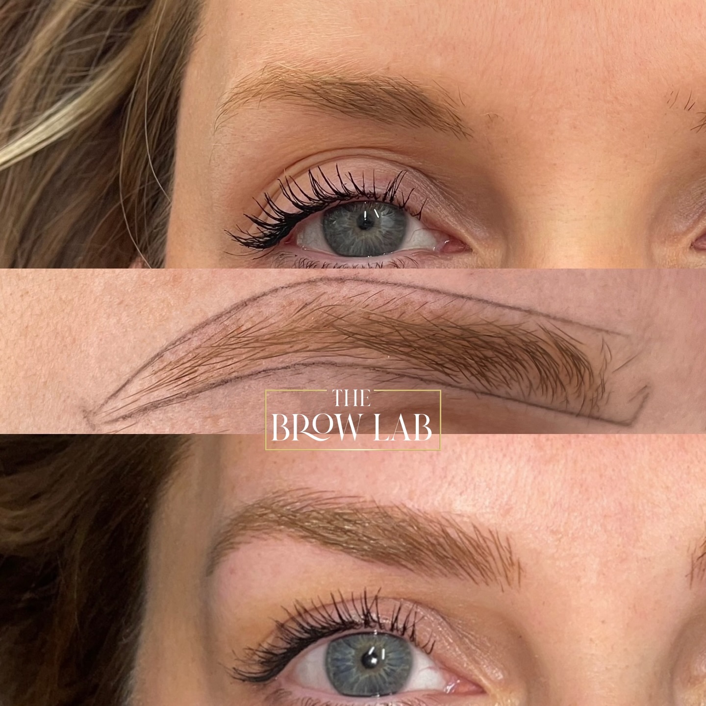It’s amazing how a few strokes at the start of the brows can bring them in slightly and instantly balance the whole face. Brows are designed to enhance what you already have and keep everything looking soft and natural from the start. The aim is always gentle structure, a subtle lift and fine strokes that blend seamlessly with your real hairs, showing how natural microblading can truly look. 🤍
#browsbrowsbrows #pmu #hairstrokes