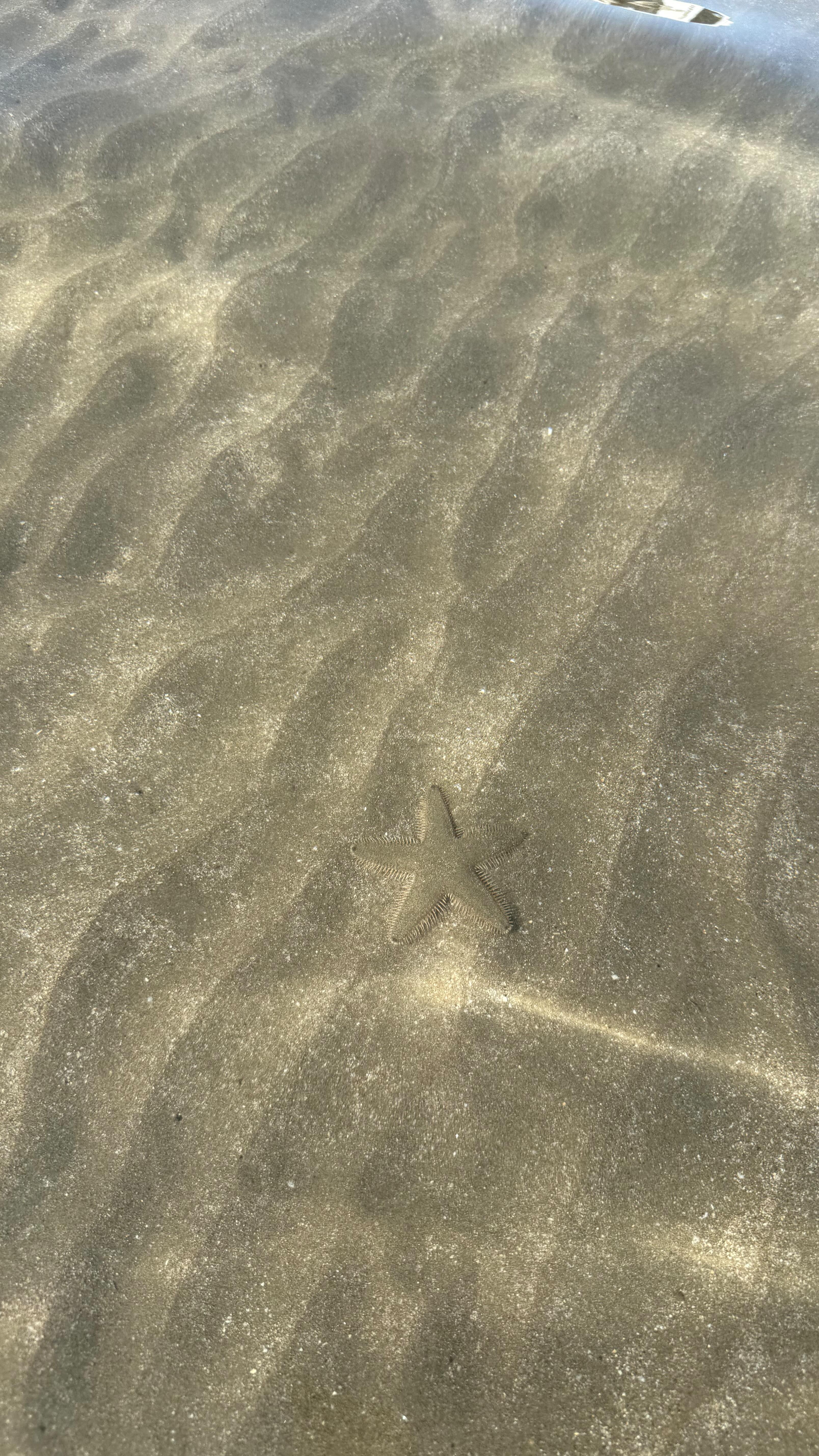 Profitez de chaque instant 🤎
Texte de @unlivre_unehistoire_ 💫
#mood#lifestyle#lifeisgood#lifeisbeautiful#moment#bonheur#diet#healtylifestyle#healtylife