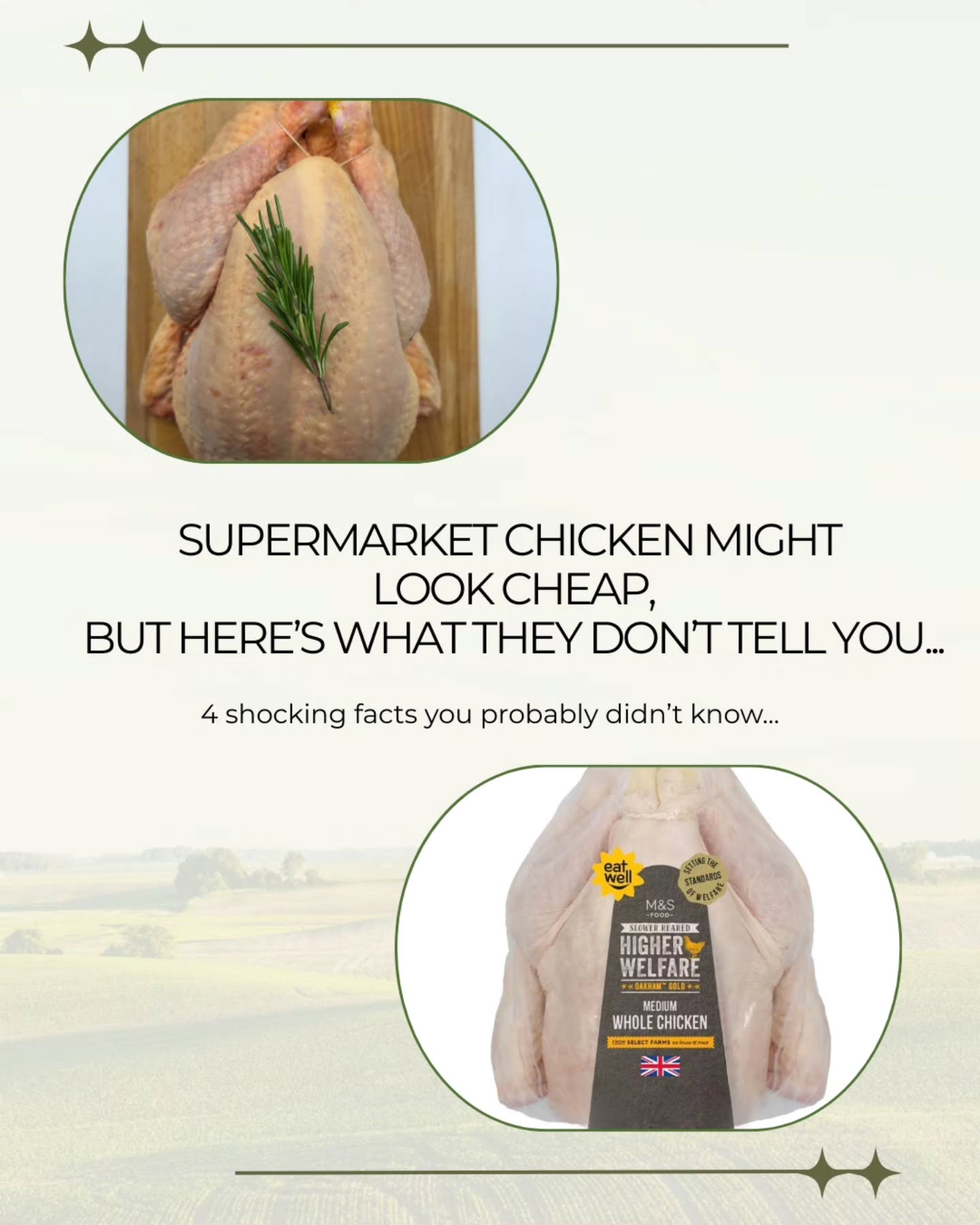 If you ever needed convincing to never buy supermarket chicken againโฆ here are 4 shocking facts we bet you didnโt know ๐
๐ ๐๐๐ ๐ ๐๐ซ๐ข๐๐ง๐ ๐ฐ๐ก๐จ ๐ง๐๐๐๐ฌ ๐ญ๐จ ๐ค๐ง๐จ๐ฐ ๐ญ๐ก๐ข๐ฌ! ๐
Are you now tempted to make the switch to pasture raised? ๐ฟ
This Black Friday week, you can taste the difference for less.
๐ 10% off whole pasture-raised chickens over 2.6kg + free giblets.
๐ 10% off skin on pasture-raised chicken breasts (all sizes).
Better for you. Better for the chickens. Better for the land ๐
๐๐ฆ๐ข๐ญ๐ด ๐ข๐ณ๐ฆ ๐ฐ๐ฏ๐ญ๐บ ๐ข๐ท๐ข๐ช๐ญ๐ข๐ฃ๐ญ๐ฆ ๐ฐ๐ฏ๐ญ๐ช๐ฏ๐ฆ ๐ถ๐ฏ๐ต๐ช๐ญ ๐๐ถ๐ฏ๐ฅ๐ข๐บ 30๐ต๐ฉ ๐๐ฐ๐ท๐ฆ๐ฎ๐ฃ๐ฆ๐ณ. ๐๐ช๐ด๐ค๐ฐ๐ถ๐ฏ๐ต ๐ข๐ถ๐ต๐ฐ๐ฎ๐ข๐ต๐ช๐ค๐ข๐ญ๐ญ๐บ ๐ข๐ฑ๐ฑ๐ญ๐ช๐ฆ๐ฅ ๐ข๐ต ๐ค๐ฉ๐ฆ๐ค๐ฌ๐ฐ๐ถ๐ต. ๐๐ฐ ๐ค๐ญ๐ข๐ช๐ฎ ๐ง๐ณ๐ฆ๐ฆ ๐จ๐ช๐ฃ๐ญ๐ฆ๐ต๐ด, ๐ฑ๐ญ๐ฆ๐ข๐ด๐ฆ ๐ฎ๐ข๐ฌ๐ฆ ๐ด๐ถ๐ณ๐ฆ ๐ต๐ฐ ๐ข๐ฅ๐ฅ ๐ต๐ฉ๐ฆ๐ฎ ๐ต๐ฐ ๐บ๐ฐ๐ถ๐ณ ๐ฃ๐ข๐ด๐ฌ๐ฆ๐ต.
๐FREE delivery to PE postcodes
๐ฆ Nationwide delivery available
๐ www.castorspastures.co.uk
#pastureraisedchicken #OrganicFarming #OrganicChicken #blackfridayuk