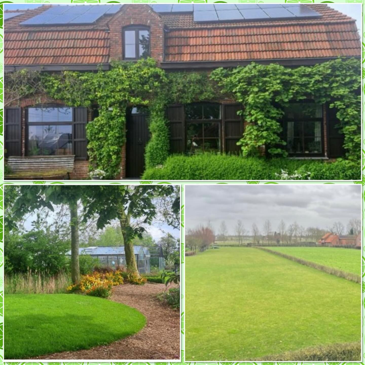We zijn verhuisd! Gisteren de definitieve akte getekend. Een nieuw begin! Zo blij 🐾….
Met meer ruimte, meer mogelijkheden…
We doen ons best en werken verder! 💪👌
www.delie-dogtraining.be