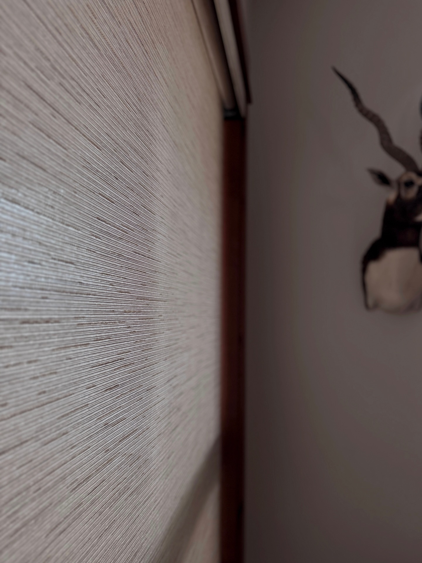 Remember that screen shade fabric you all voted on?? Well… here she is in all her glory. Feeling very loved and well chosen sitting in that window. Thanks to you. ♥️
#1889interiors | #hunterdouglas #montanawindowtreatments #motorizedscreenshade #customwindowtreatments