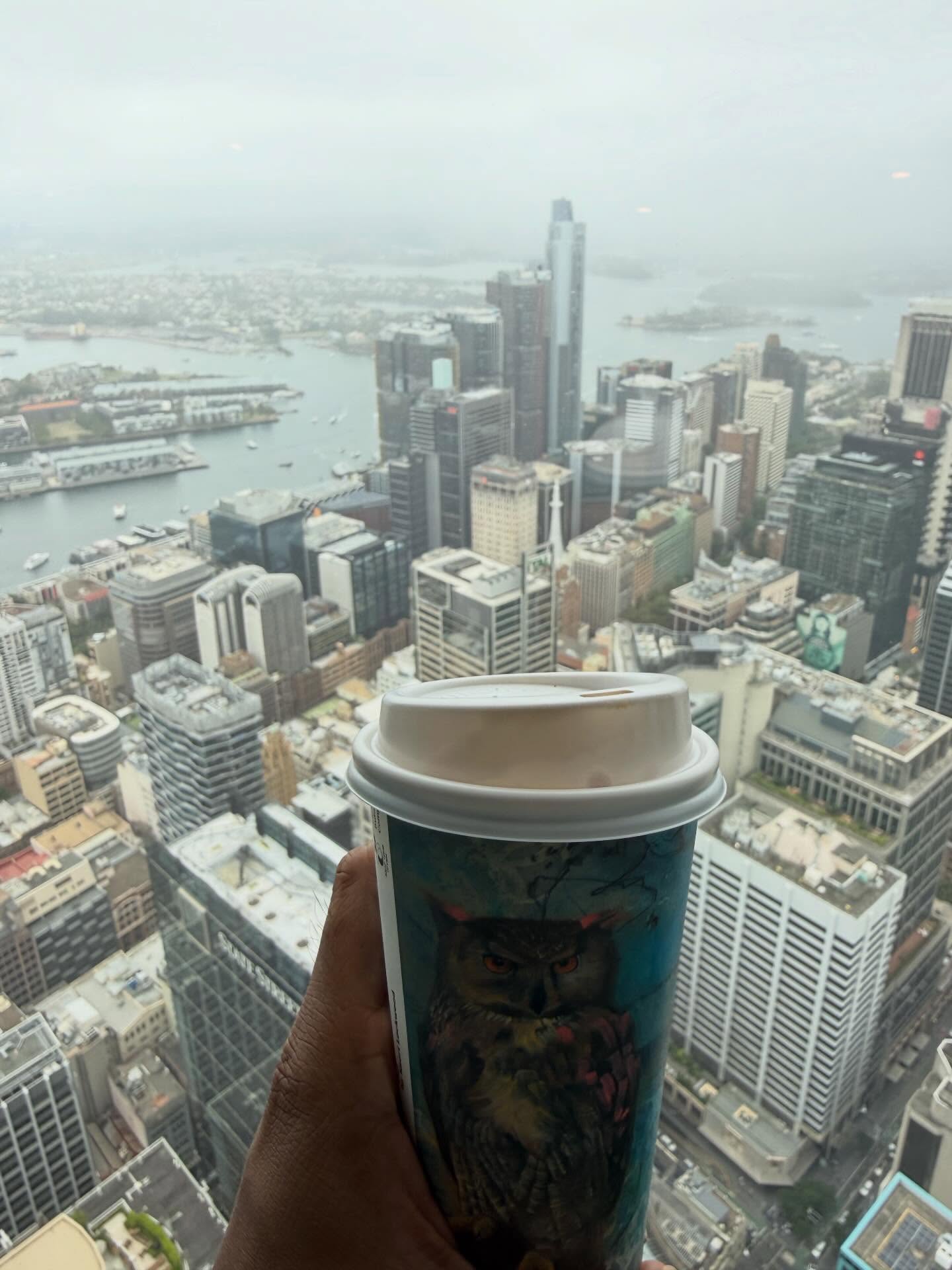 And today it’s a coffee with a view . @sydneytowereye