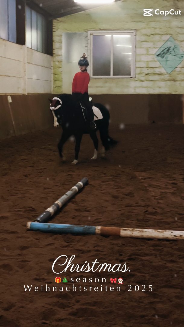 🎄🐴 Unser Weihnachtsreiten des Pferdefreunde 38 e.V. war ein voller Erfolg!
Mitglieder und externe Mitwirkende haben gemeinsam ein wunderschönes Programm gestaltet. Unsere Reitschüler konnten zeigen, was sie gelernt haben, unsere Pferde waren einfach großartig 🤍
Bei leckerem Essen, Getränken und gemütlichem Beisammensein hatten wir einen rundum gelungenen Tag.
Danke an alle Helfer & Unterstützer – wir wünschen euch eine schöne Vorweihnachtszeit ✨
#springreiten #reitturnier #reitsport #reitpferd #springpferd #horsesofinstagram #equestrianlife #pferdeliebe #jungpferdeausbildung #nachwuchspferd #futurestars #younghorses #pferdezucht #verkaufspferd #verkaufspferde #saleshorse #horsesforsale #showjumpersales #dreamteam #maresilange