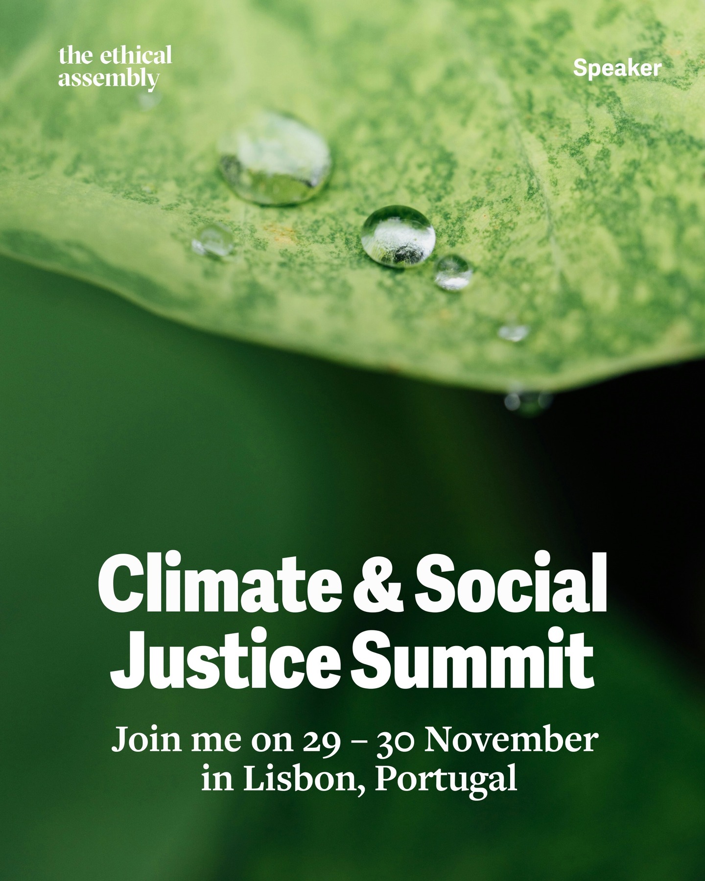 The @ethicalassembly 2025 is just around the corner, gathering in #Lisbon with hundreds of changemakers to explore what true sustainability, climate action and systems change can look like. ๐
@rhea_eu will be present in two moments:
- Saturday 29th find @_raizarezende_ in the #regenerativeagriculture roundtable
- Sunday 30th, join us for a community dinner at @the_food_temple
โค๏ธ Use the code EAFAMILY15 to get 15%OFF tickets
#EthicalAssembly2025 #Regeneration #ClimateAction #SystemsChange #Lisbon