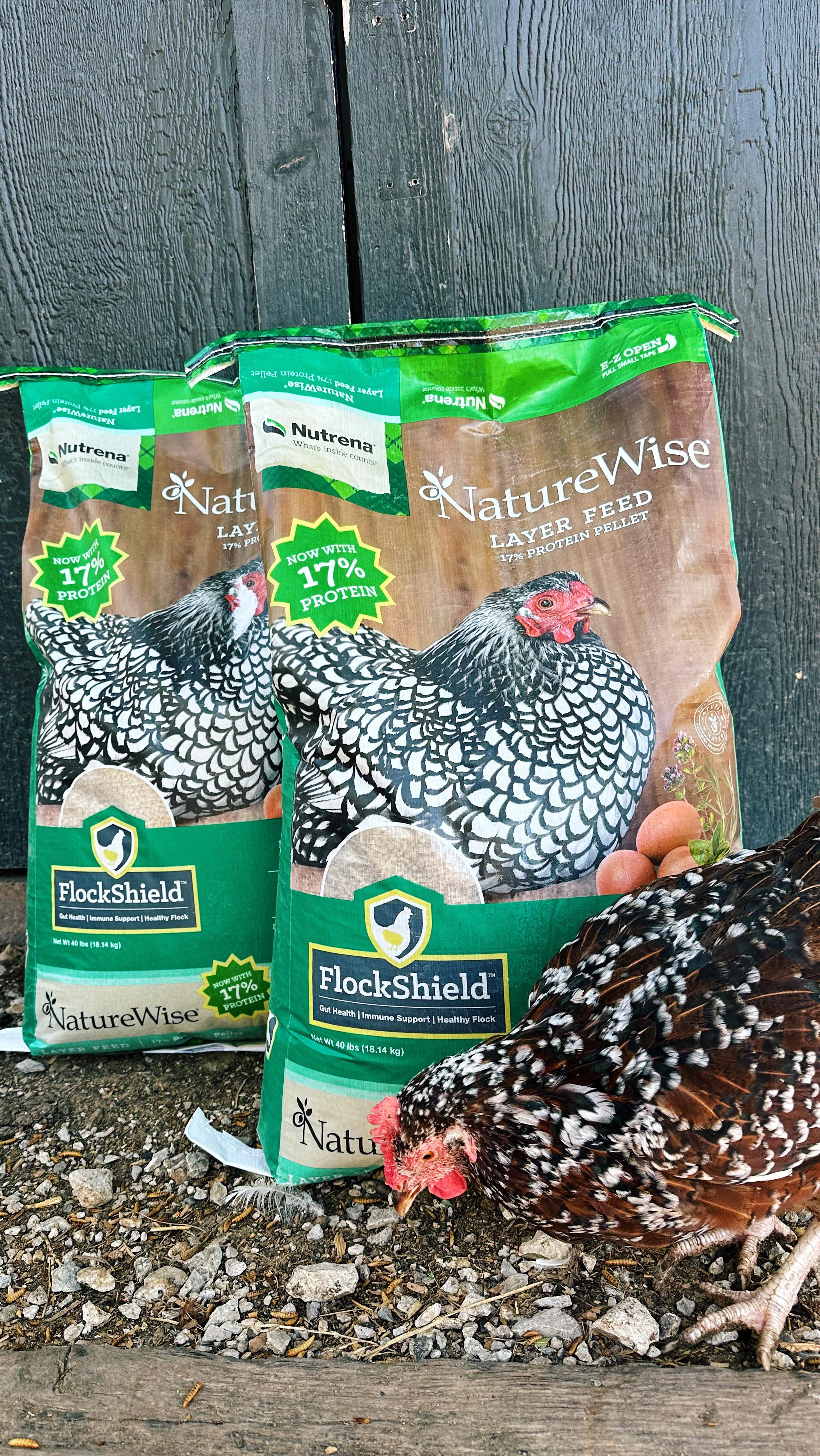 Our secret to healthy hens and a full egg basket- NatureWise Layer feed.
#atwoodshomeandranch #naturewiselayerfeed #nutrena #cargillpartner