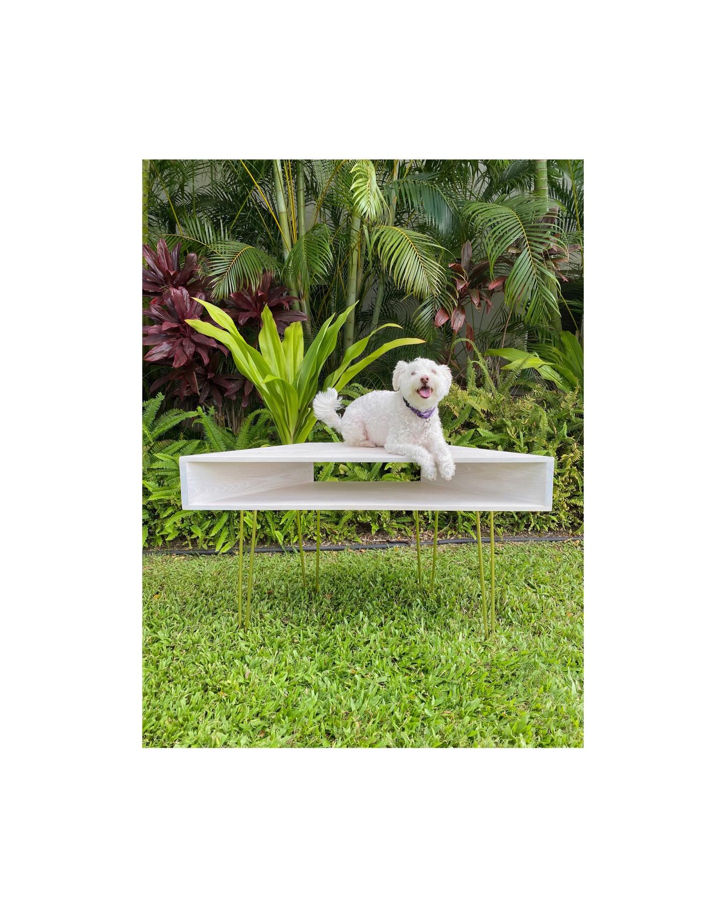 All projects are Falkor approved.
#dogsofinstagram #hardwood #customfurnıture