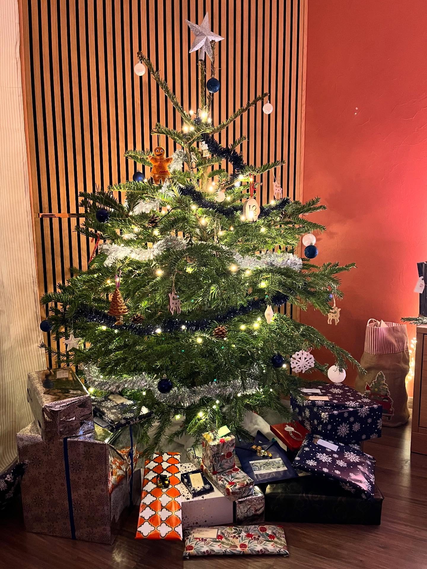 joyeux Noël à tous ceux qui fêtent ❤️🎄