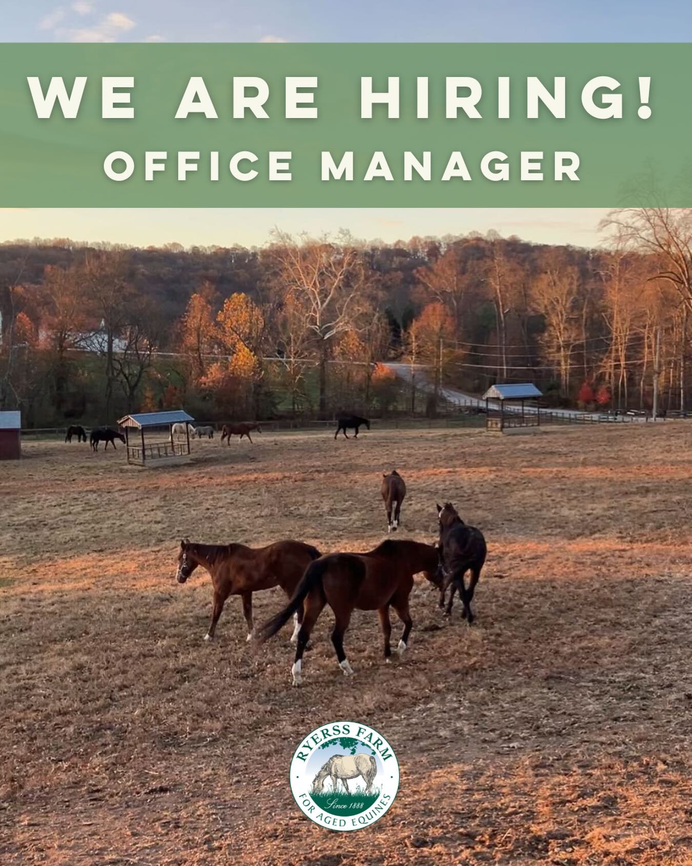 Are you looking for meaningful, mission-driven work? Do you enjoy a balance of structure and variety? Join the Ryerss Farm team as our Office Manager! ๐ด๐ As the oldest nonprofit horse sanctuary in the United States, our mission is rooted in compassion, and we would love for you to be part of it.
In this role, you will oversee the daily administrative operations that keep our organization running smoothly and serve as a central point of coordination for our staff, board, volunteers, and visitors. You will also manage our on-site gift shop, coordinate all volunteer activity, and support communications related to events and fundraising.
Click the link in our bio to learn more and apply today!
