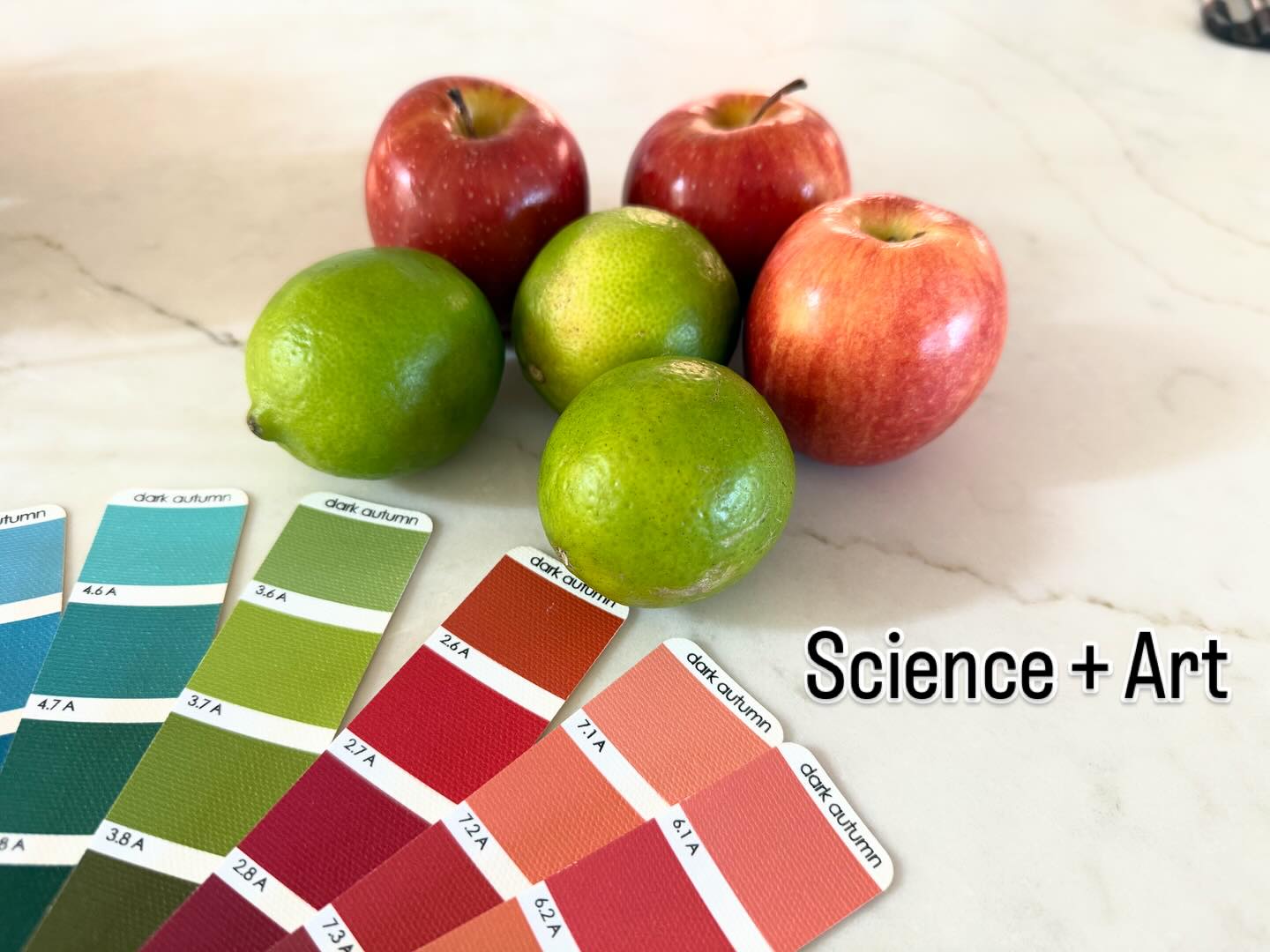 TCI recognizes the perfect color patterns found in nature! Get out in nature today and see how colors harmonize!