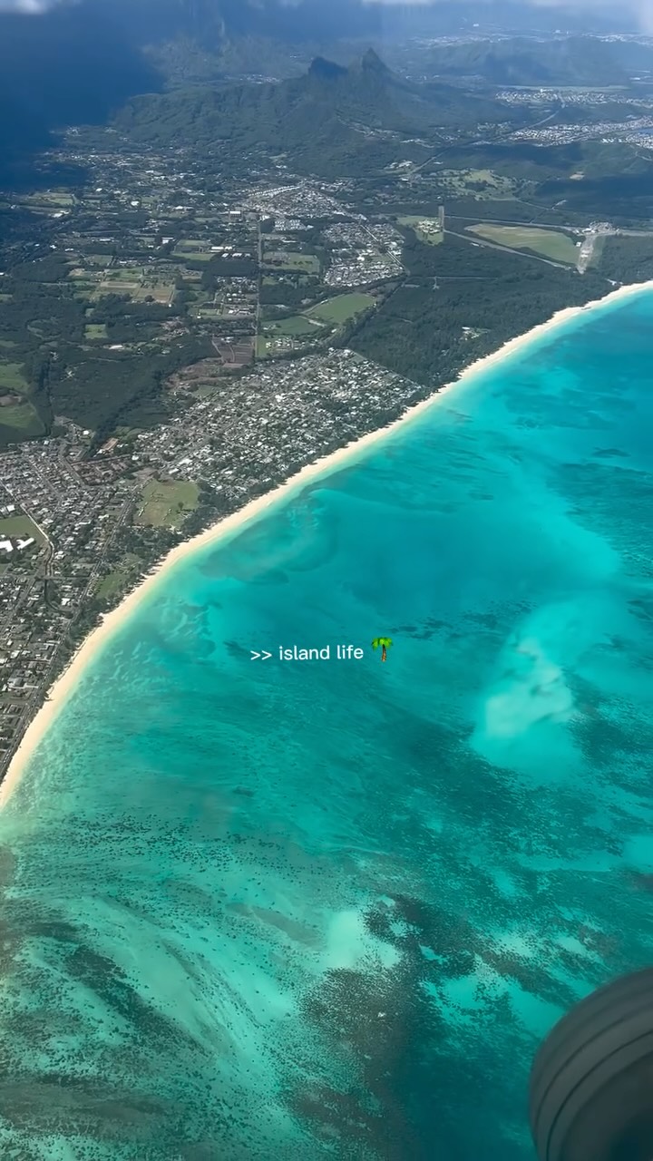 The island is calling, let’s snorkel💙🤿
Keep Your Snorkel Gear Ocean-Ready! Here are some tips:🐠✨
Rinse with fresh water after each use, dry in the shade, and store it right — your mask, fins, and snorkel will thank you later! 🌴💦
#Snorkeling #hawaii #snorkelinghonolulu