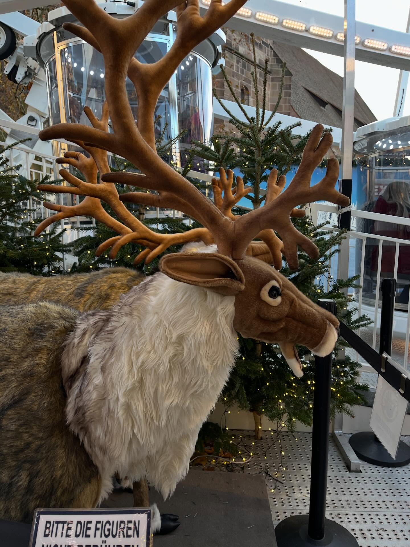 🎄 Merry Christmas from The Grow Concept 🎄
As I come to the end of the year, I just want to say a huge thank you. I’m so grateful to all the schools, nurseries and families who welcomed me into their spaces this year. Delivering children’s yoga workshops and securing school and nursery placements has been such a joy, and I feel incredibly lucky to be part of so many young people’s journeys.
This year has been all about planting seeds — and as I look ahead, I’m so excited to keep growing. Alongside my work with children, the year ahead will see The Grow Concept expand further into adult workshops, creating more opportunities for connection, wellbeing and balance at every stage of life.
Thank you for your continued support, belief and encouragement. I can’t wait to share what’s coming next.
Wishing you a peaceful, joyful Christmas and a bright year ahead ✨