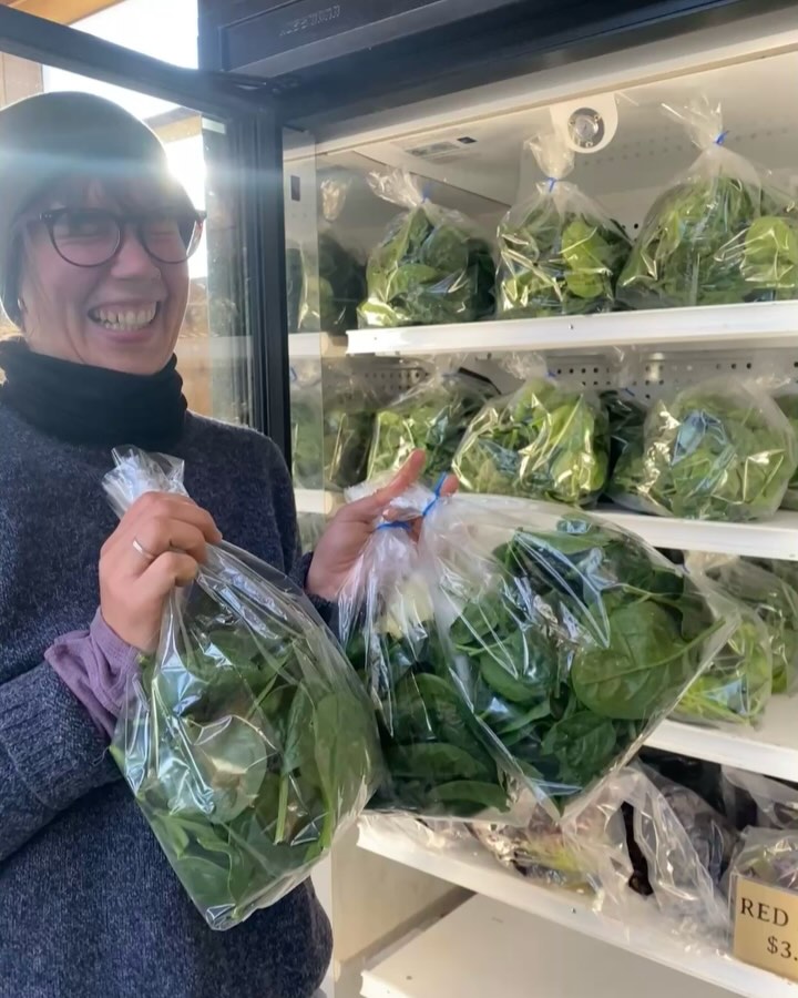 Last chance shop with us this week! Thursday-Sunday 10-4:00!
We’ve got yummy #spinach #lettucemix and a wide selection of #potatos and #wintersquash to get you through the holiday.
Stocked up! Bulk deals on potatoes, carrots, beets and squash.
Pay It Forward tickets are still available for those who need them.
BONUS—open drum circle Sunday 11-12:30!
:
#longviewfarmstand #supportlocalfoodandfarms #nhfarm