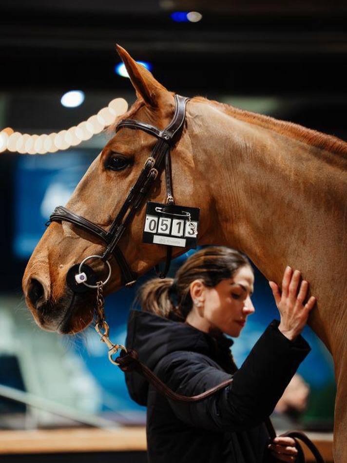 Wishing you all a wonderful weekend! ✨ Whether you’re at a show, training, or simply enjoying time at the stables — make the most of every moment with your horses. 🤍🐴
🔢 Personalized number bibs to match your style are available with us – custom, high-quality, and show-approved.
Feel free to message us for more details!
#equestrianlife #KLEAHeart #horselove