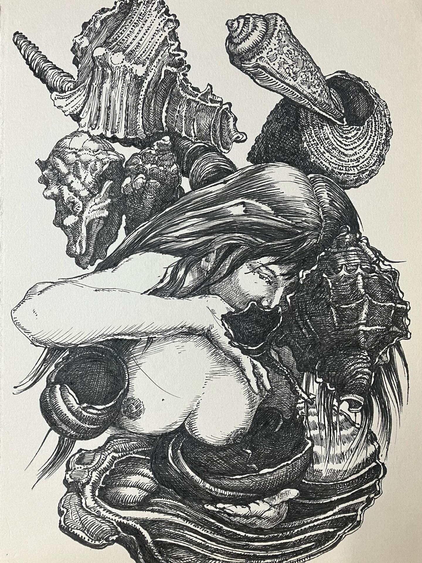 “Schelpenmeisje” (Et Dieu crea la femme), pentekening, 2025. #lifedrawing #seashells #insectsartprints #erosandthanatos #printmaking #etching #figuredrawing #classicdrawing #malefigureprints #blackandwhitedrawing #engraving #largeetching #penandink #quickstudies #malenudedrawings #portraitdrawings #landscapedrawing #seascapedrawings #beachscenesart #selfportrait #fromlifeonly #stopusingphotographs #botanicalprints