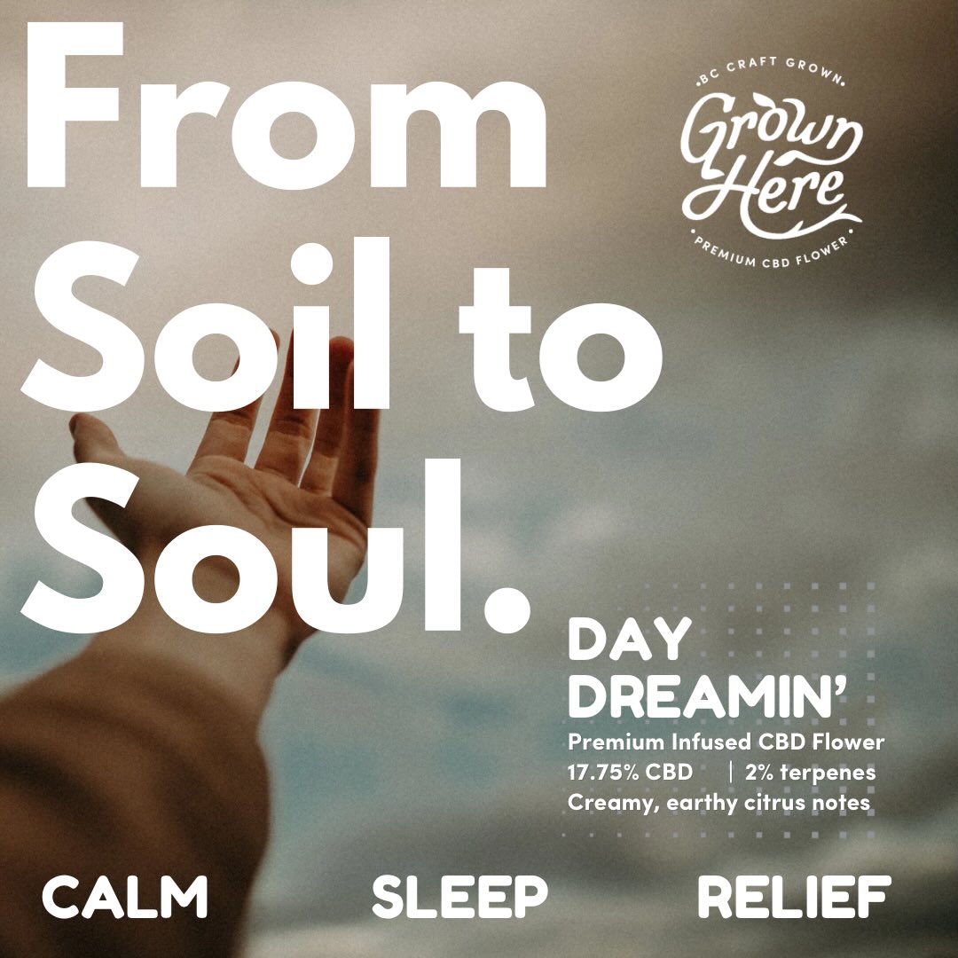 Why do people use CBD products? Overwhelmingly we hear the main responses from medical customers - to address anxiety, depression, PTSD or other mental health concerns, for support w their sleep, or pain management. And in the recreational market - to augment or offset their THC consumption and for smoking cessation. Many use our oil to make their own DIY edibles or oil at home. You can find us on @herbaldispatch. Find out why we’re the Best CBD Flower Company in Canada! #bestcbdcanada #bestcbd #cbd