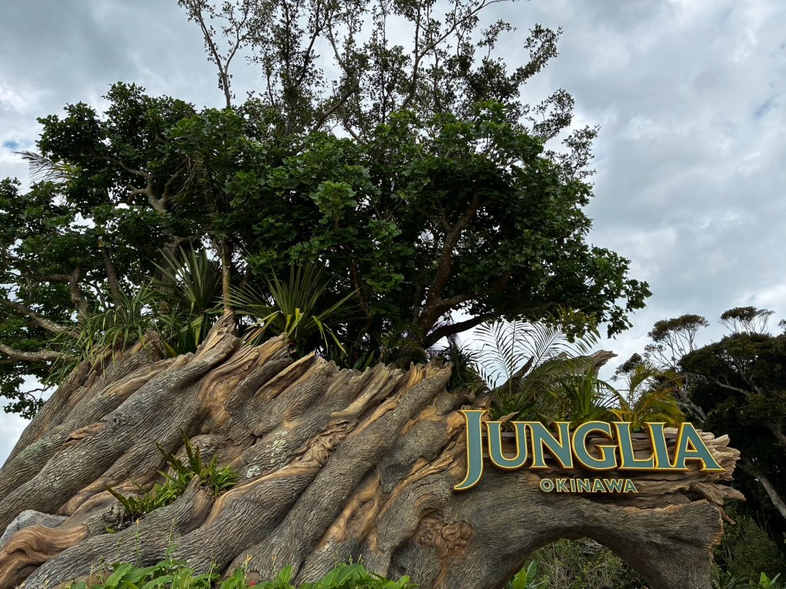 沖縄 2日目は
ジャングリア沖縄へ
2025年7月25日にオープンした自然と最新技術が融合した新感覚のテーマパークです。
できたばかりなので
色々と改善点はありますが
アトラクションは楽しそうです
スタッフの方々も
常に笑顔 笑顔です
私は入ってないですが
世界最大級のインフィニティ風呂もあります
お客様よかったよ
とのことでした
アトラクションに参加しないと
ほぼ恐竜には遭遇しませんよ
#添乗員
#旅行好きと繋がりたい
#旅好きと繋がりたい
#旅行
#旅
#ジャングリア沖縄