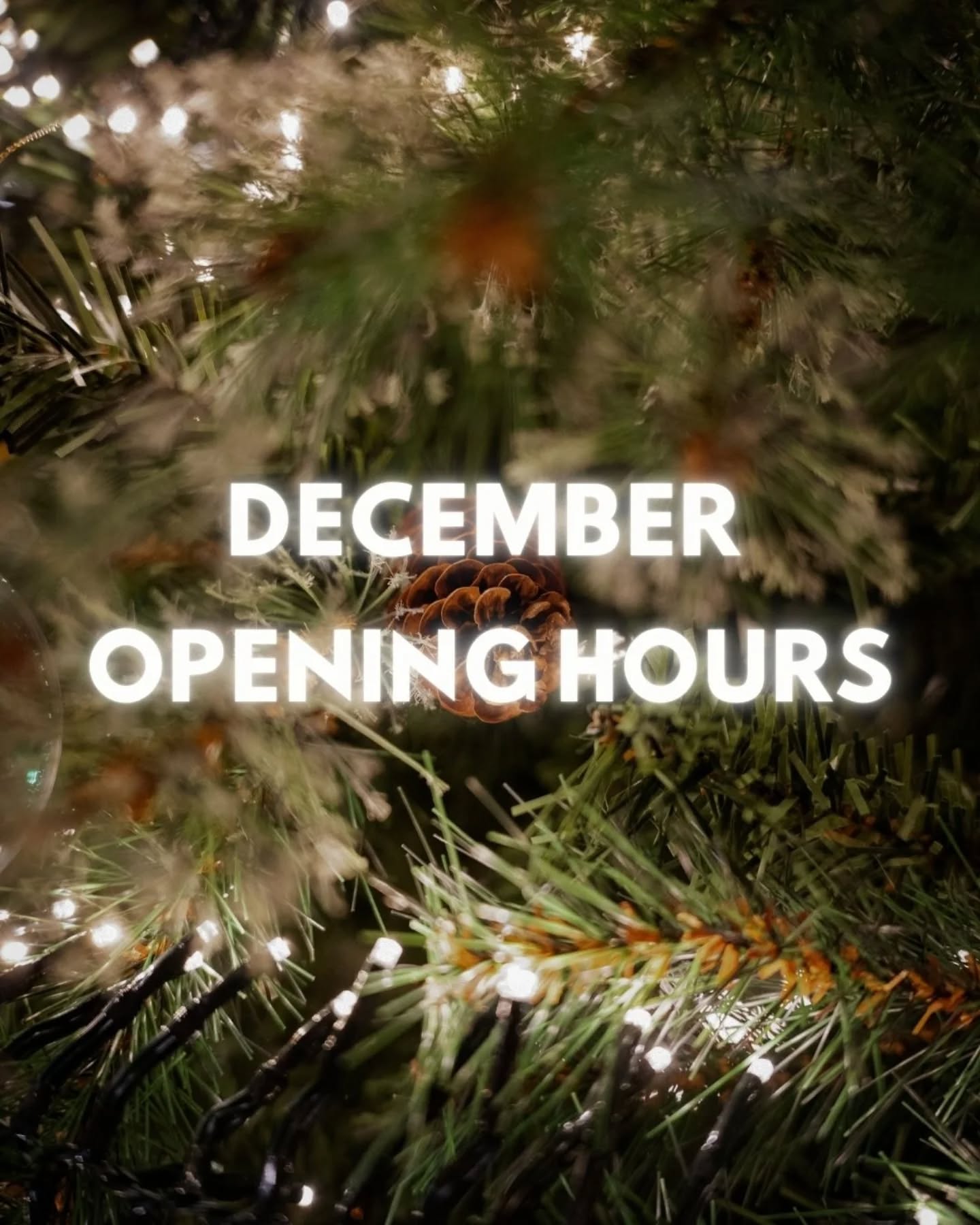 Swipe to see our December Opening Hours!
Use our website www.capones.ie for bookings or call 091 520 060 🎄🎅
#caponesgalway #restaurantgalway #galway #thisisgalway #wildatlanticway #familyrestaurant #outdoordining #tastyfood #burgersgalway #lunchgalway #dinnergalway #pizzagalway #cocktailsgalway #galwaygrub #knocknacarra #barna #salthill