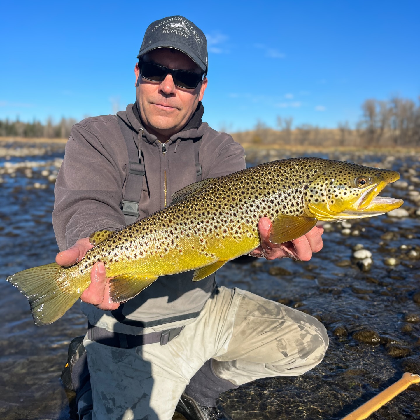 Some good browns from the last few weeks.
#scientificanglers #sageflyfish #clackacraftdriftboats #bowriver #flyfishing #fishing #bowriverflyfishing