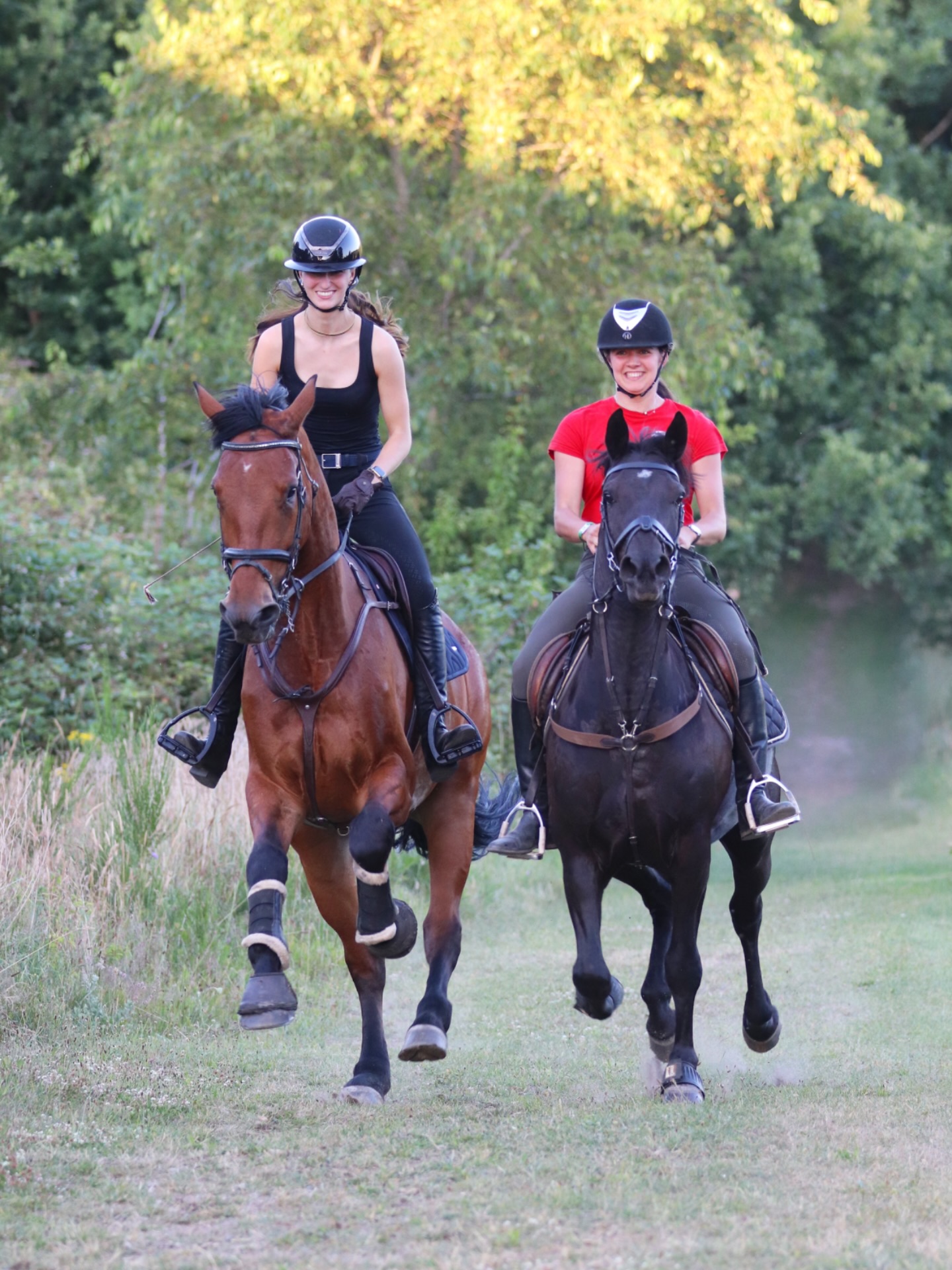 WUHUU🤠🥳 Vi glæder os til sol sommer, og gode galopture op ad galopbanen på Østerlund Ridelejr!😍 Husk at vi har åbent for tilmelding til Danmarks Sjoveste Ridelejr, 2026🐴 #østerlundridelejr #danmarkssjovesteridelejr