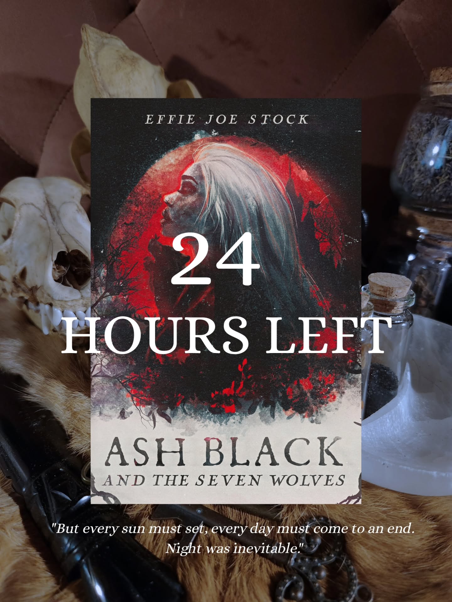 🥀💀What do you have planned this weekend??💀🥀
The Ash Black Kickstarter Campaign will officially end when I'm on the road to Colorado for Thanksgiving so I'm planning on having a celebratory McDonald's McFlurry!! (If the ice cream machine is working 🤪)
But until then I have a super busy day of work at my new job, and then packing packing packing!! Getting ready for this trip and especially for being at Dragonsteel Nexus has been A LOT of work to say the least from just doing regular stuff like laundry to super specific stuff like making sure I have cash change and even a notebook so passerbyers can write their email addresses down to subscribe to the @dragon.bone.publishing newsletter!
It's a little bit stressful of course but it's all gonna fade away once I get on the road and I think a little vacation is just what I need.
🥀💀
Thank you everyone who's helped making this Kickstarter Campaign possible!!!
💀🥀
#ashblack #ashblackandthesevenwolves #kickstartercampaign #bookstagram #booksbooksbooks #ilovereading #witchy #witchybooks #witcheswhoread #darkfairytaleretelling #darkfantasy #fantasy #magicandbones #indieauthor #indiepress #dragonbonepublishing