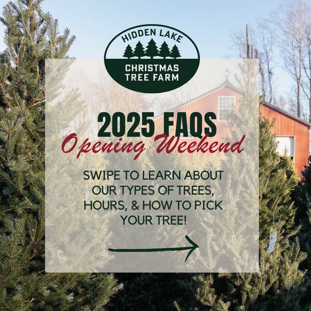 Just one more sleep until opening day! Who else is counting down with us? Tomorrow morning we’ll have the Christmas music going, a crackling fire, and fresh hot cocoa brewing in the Cocoa Cabin. All of our Christmas trees are tagged, trimmed, and waiting to head home with you! 🎄
Before you visit, check out our list of common questions and see what to do once you’ve found the one. And if you want a sneak peek at the different types of trees we’re offering this year, head to our stories to learn what makes each variety unique! ✨
#christmastreefarm #southernmaryland #maryland #marylandchristmas #marylandchristmastreefarm