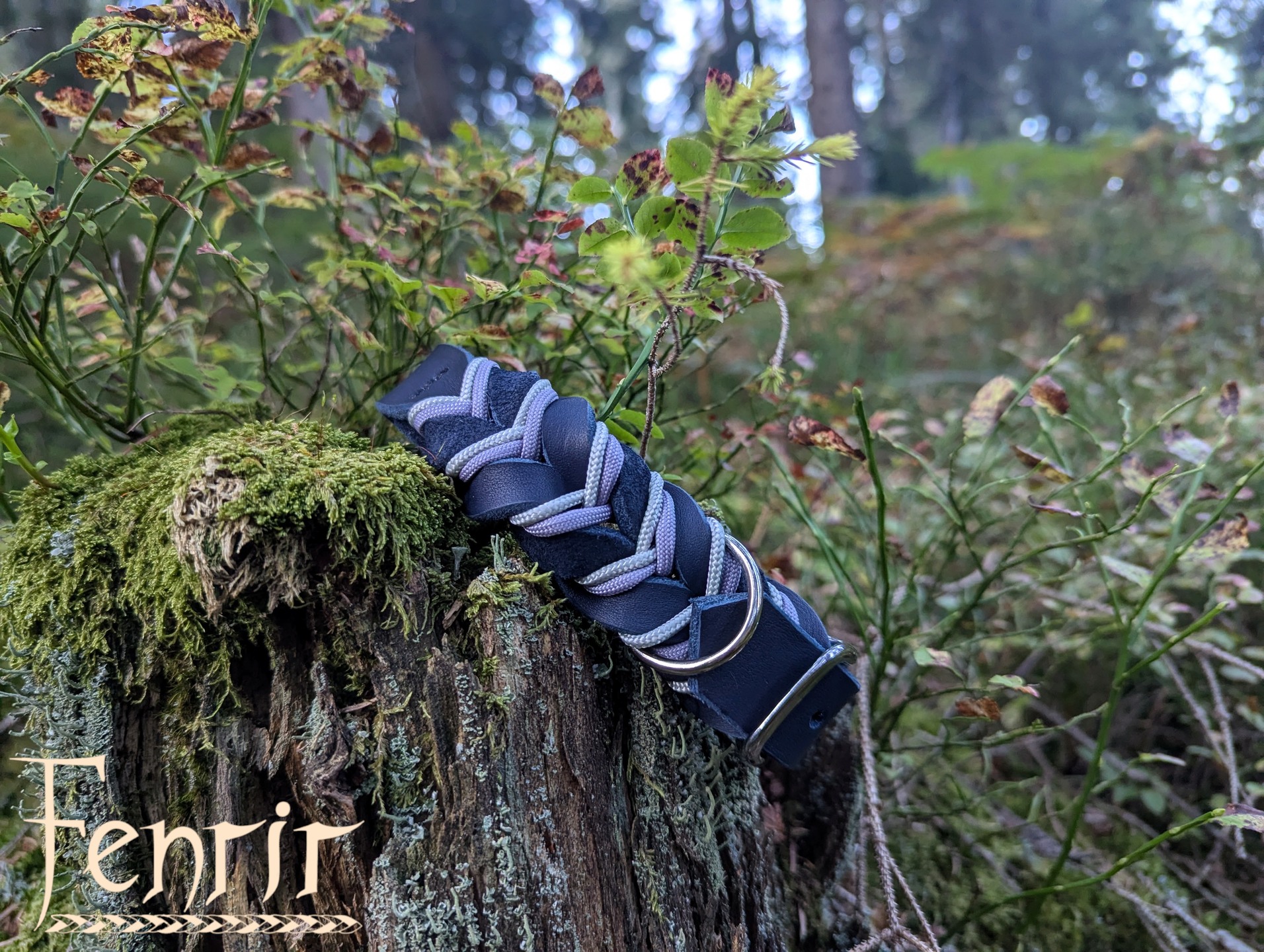 Jede Farbe erzählt eine Stimmung. Dieses hier steht für stille Wege, Moos unter den Schuhen und ein bisschen frische Luft. 🍃
#fettleder #paracord #hundehalsband #hundeliebe #blau #lila #handmadewithlove #smallbusiness #fenrirhandmade